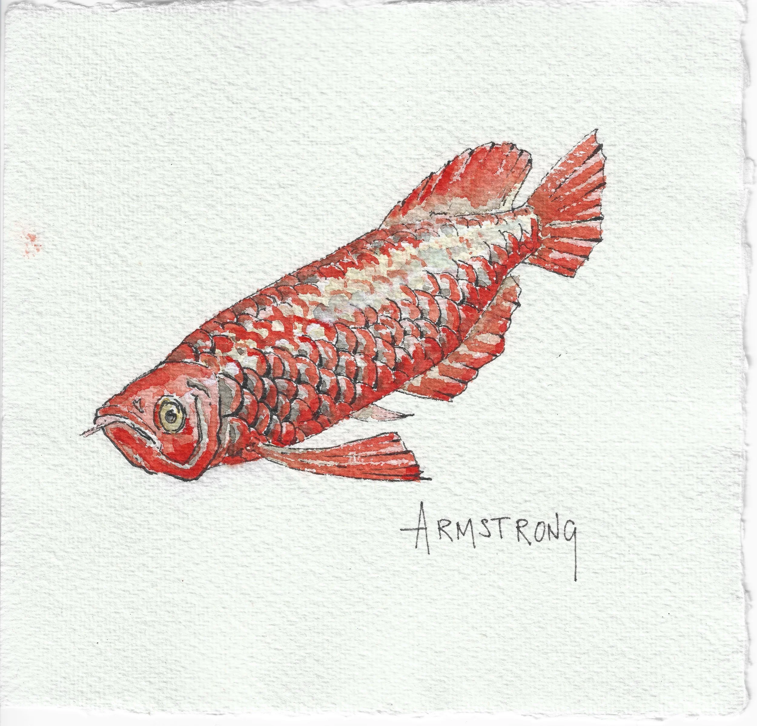 arawana 15x15cm.jpeg