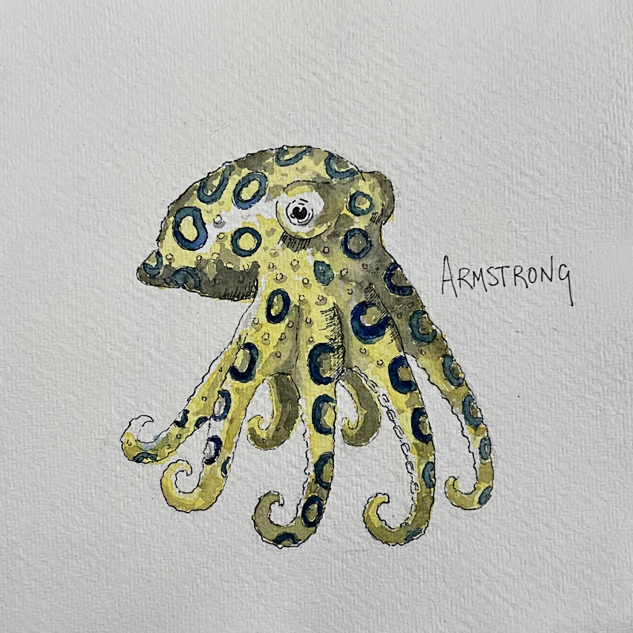 A watercolor painting of an octopus with yellow and greenish skin covered in blue and black circular patterns, with the name 'Armstrong' written next to it.