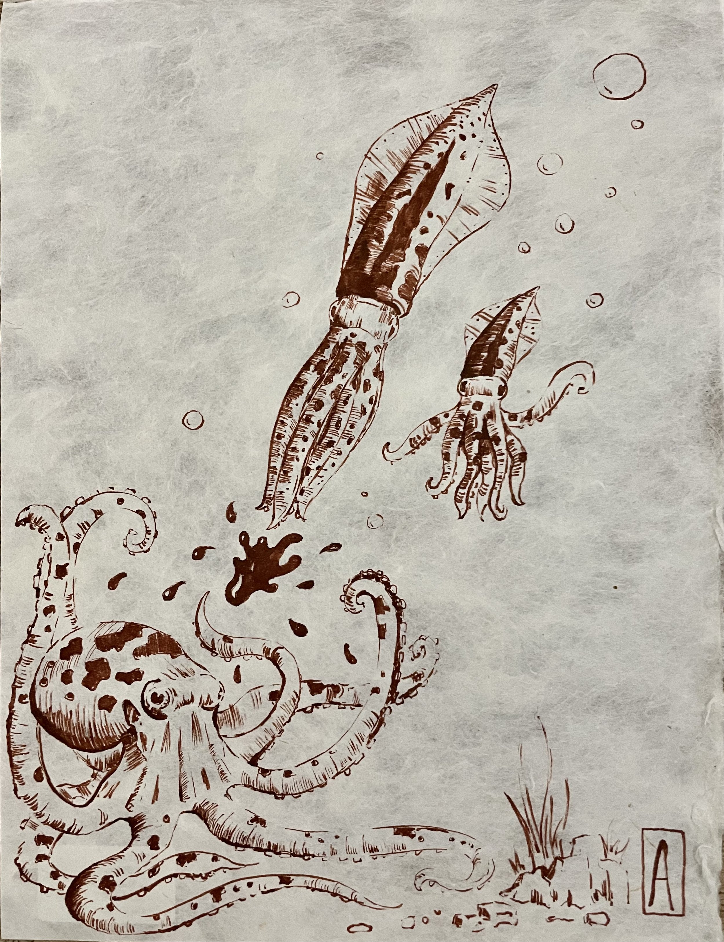 Sketch of an octopus and two squid underwater, with bubbles and some sea plants, in a minimalist style.