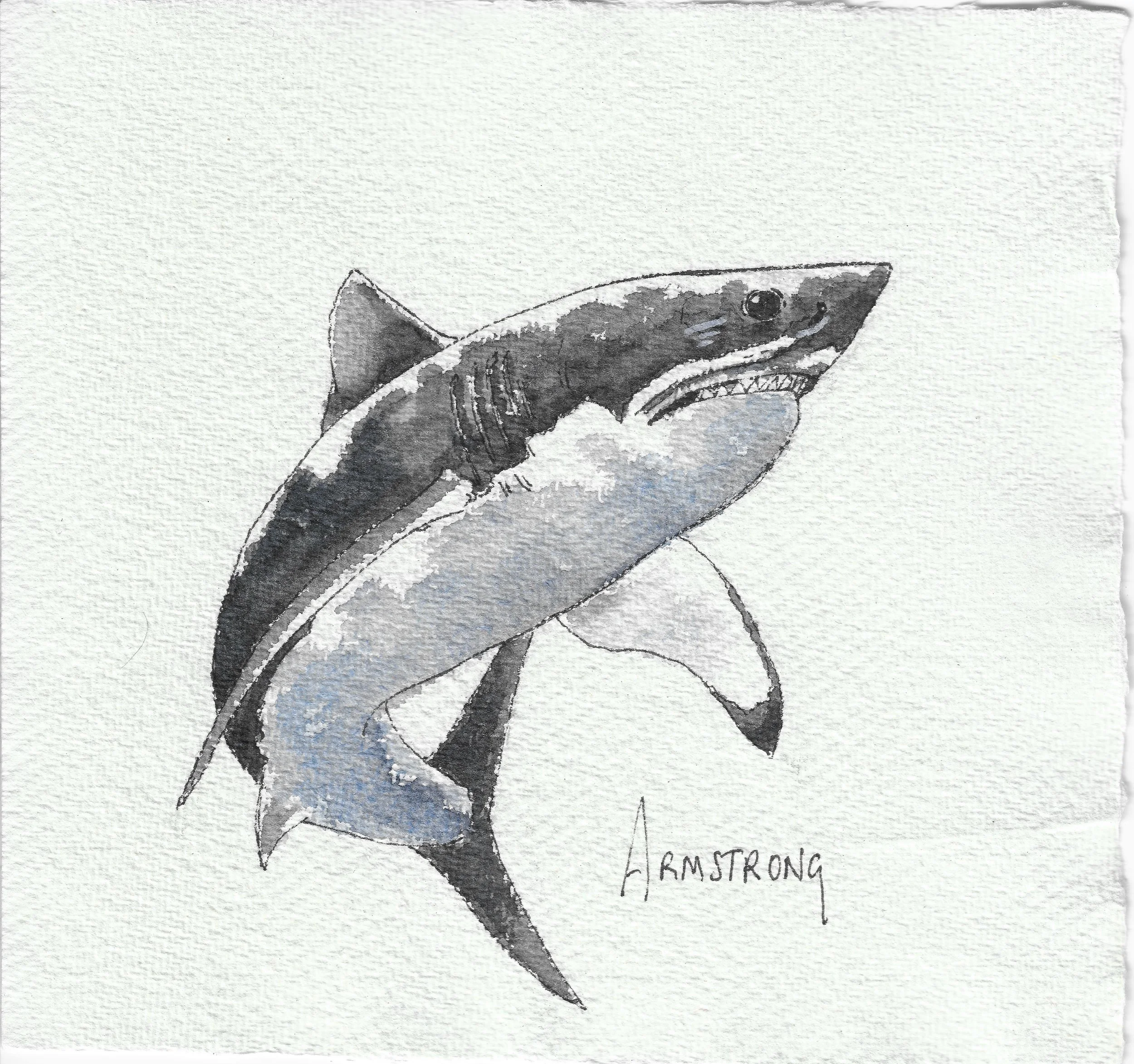 great white 15x15cm.jpeg
