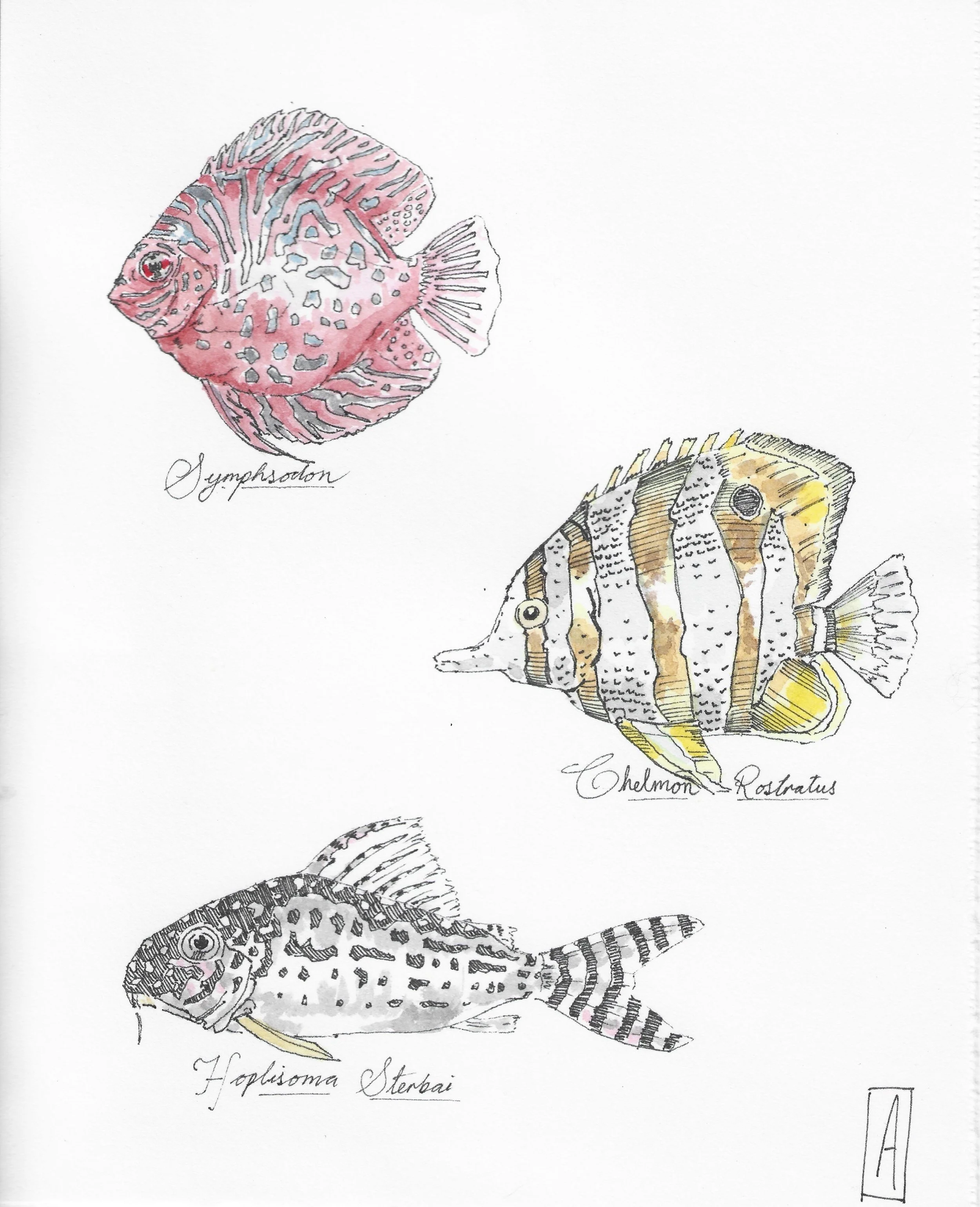 Scientific fish .jpg