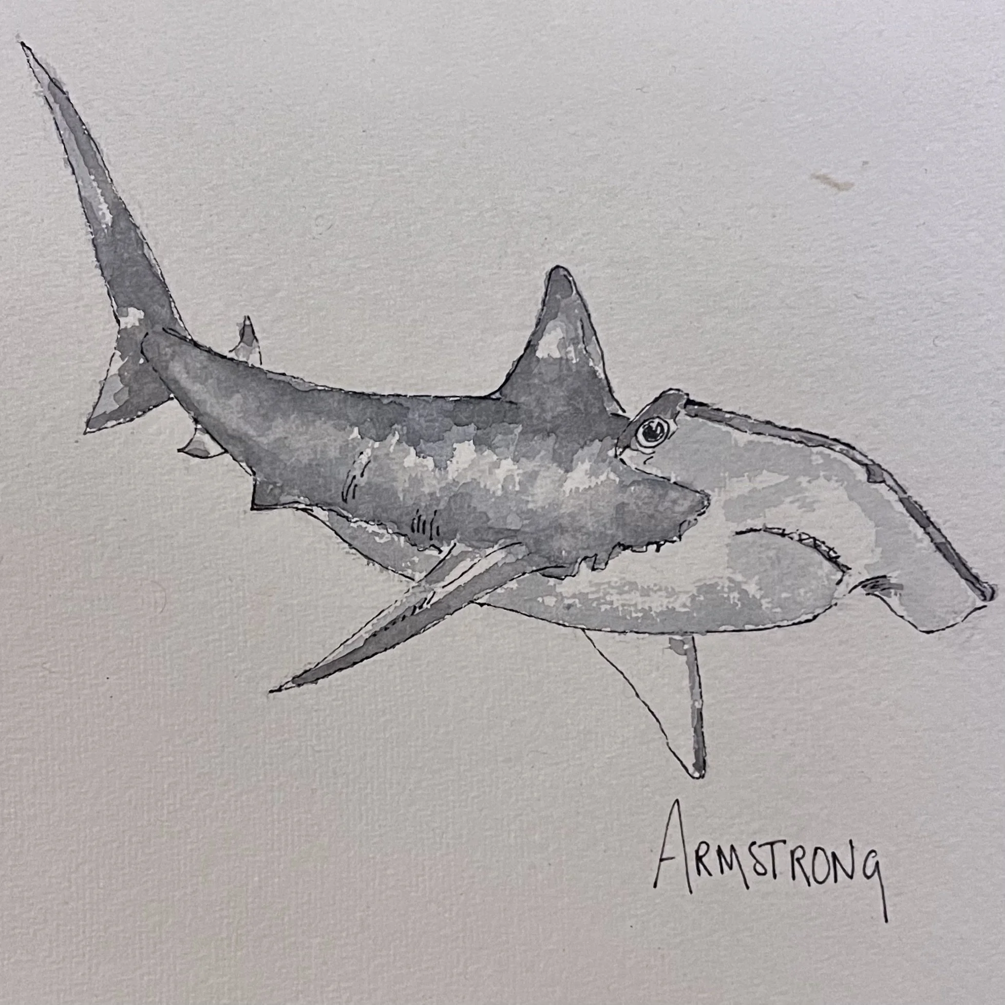 A black-and-white watercolor illustration of a shark blending with an astronaut's arm, with the word 'ARMSTRONG' written below.