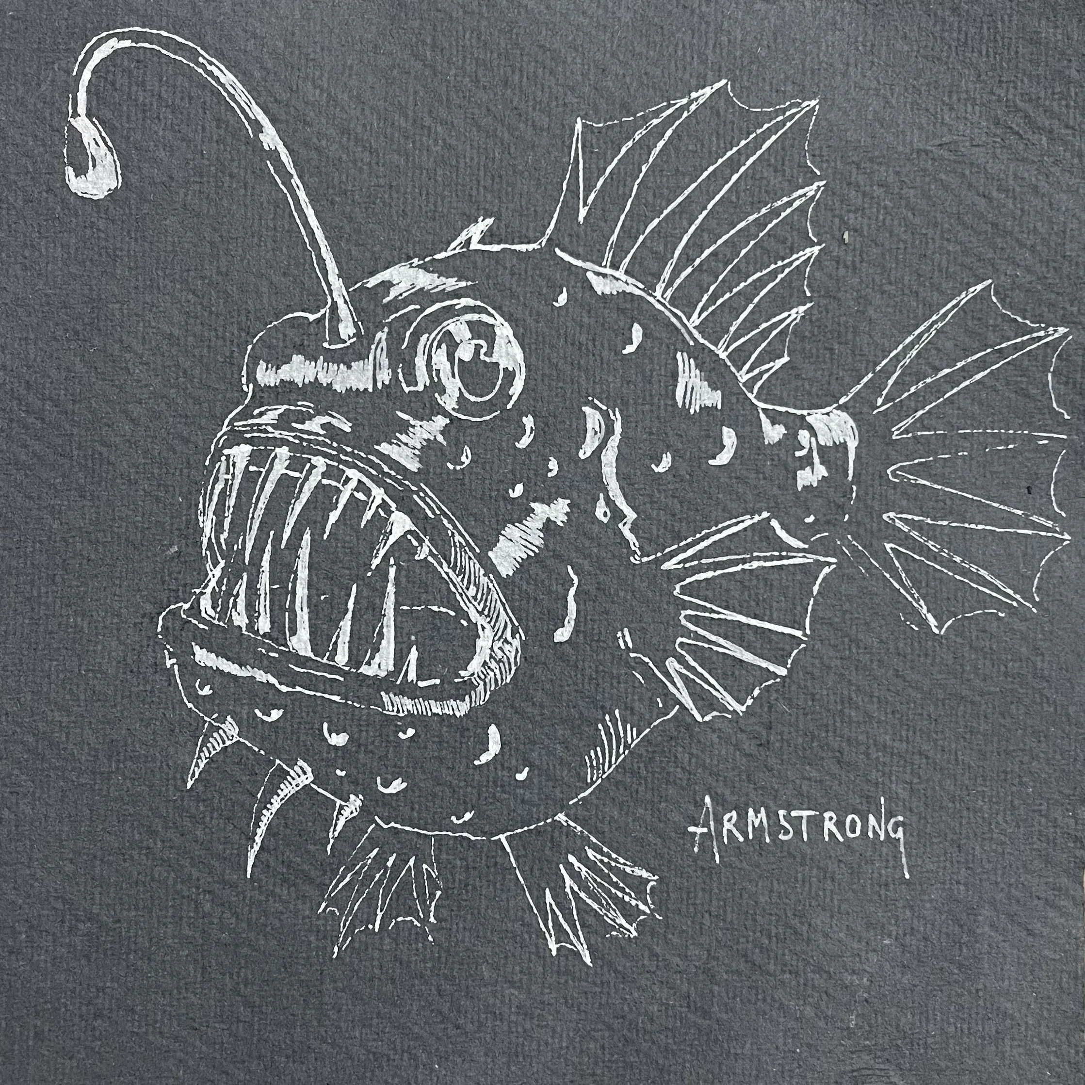White chalk drawing of a fish with large mouth, sharp teeth, prominent fins, on dark textured background, signed Armstrong.