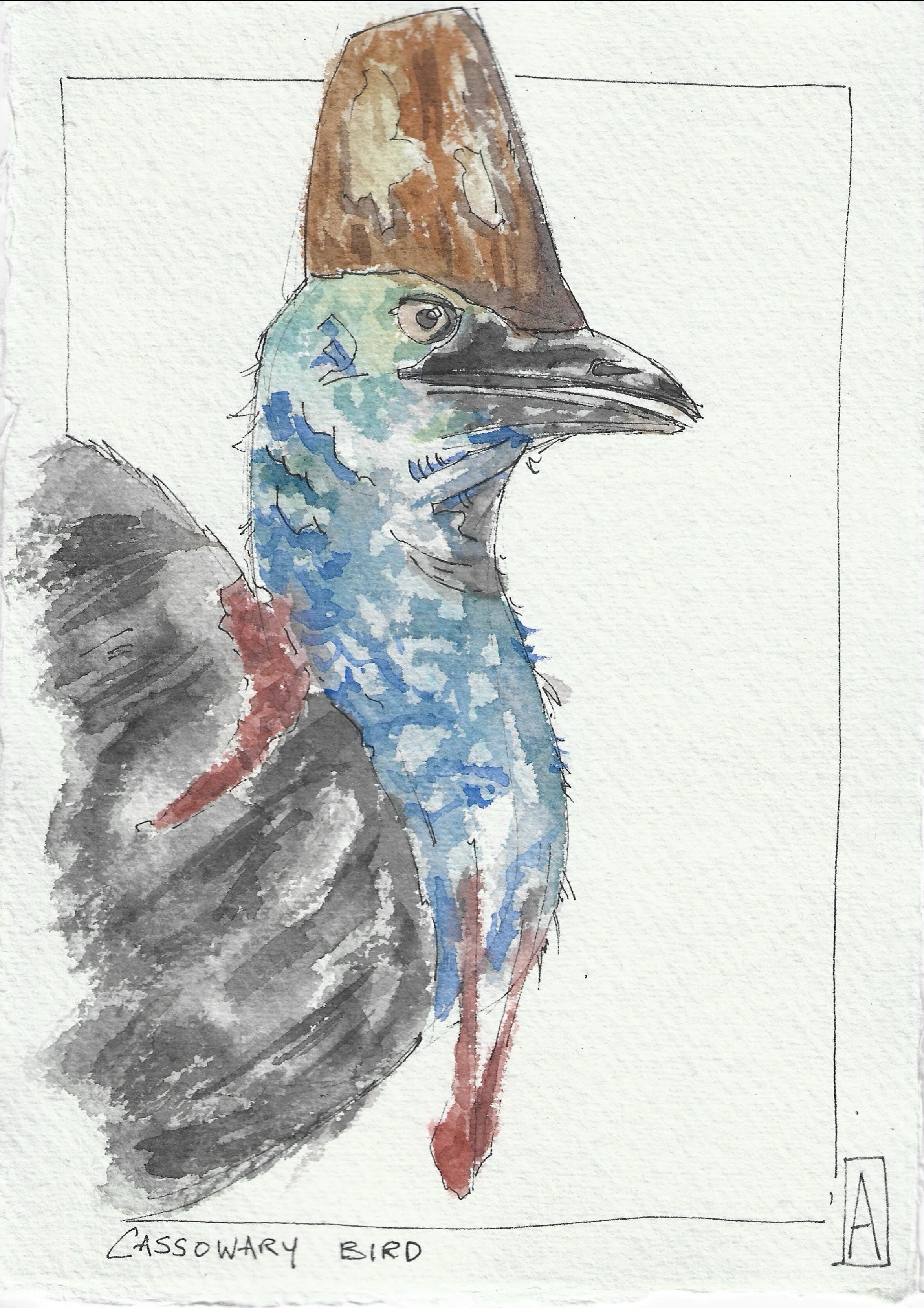 Cassowary sketch.jpg