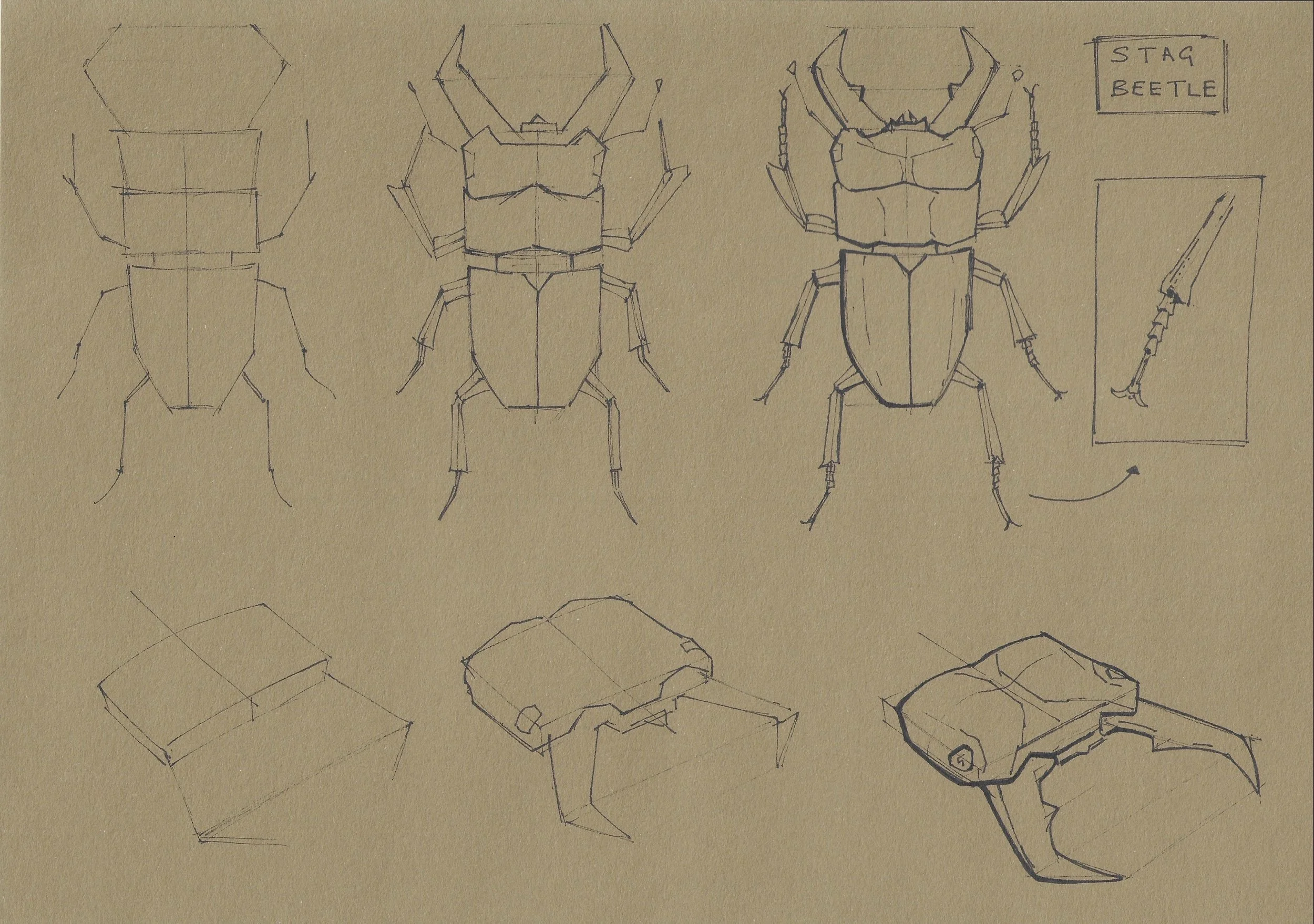 Dynamic sketching week 3 _4.jpg