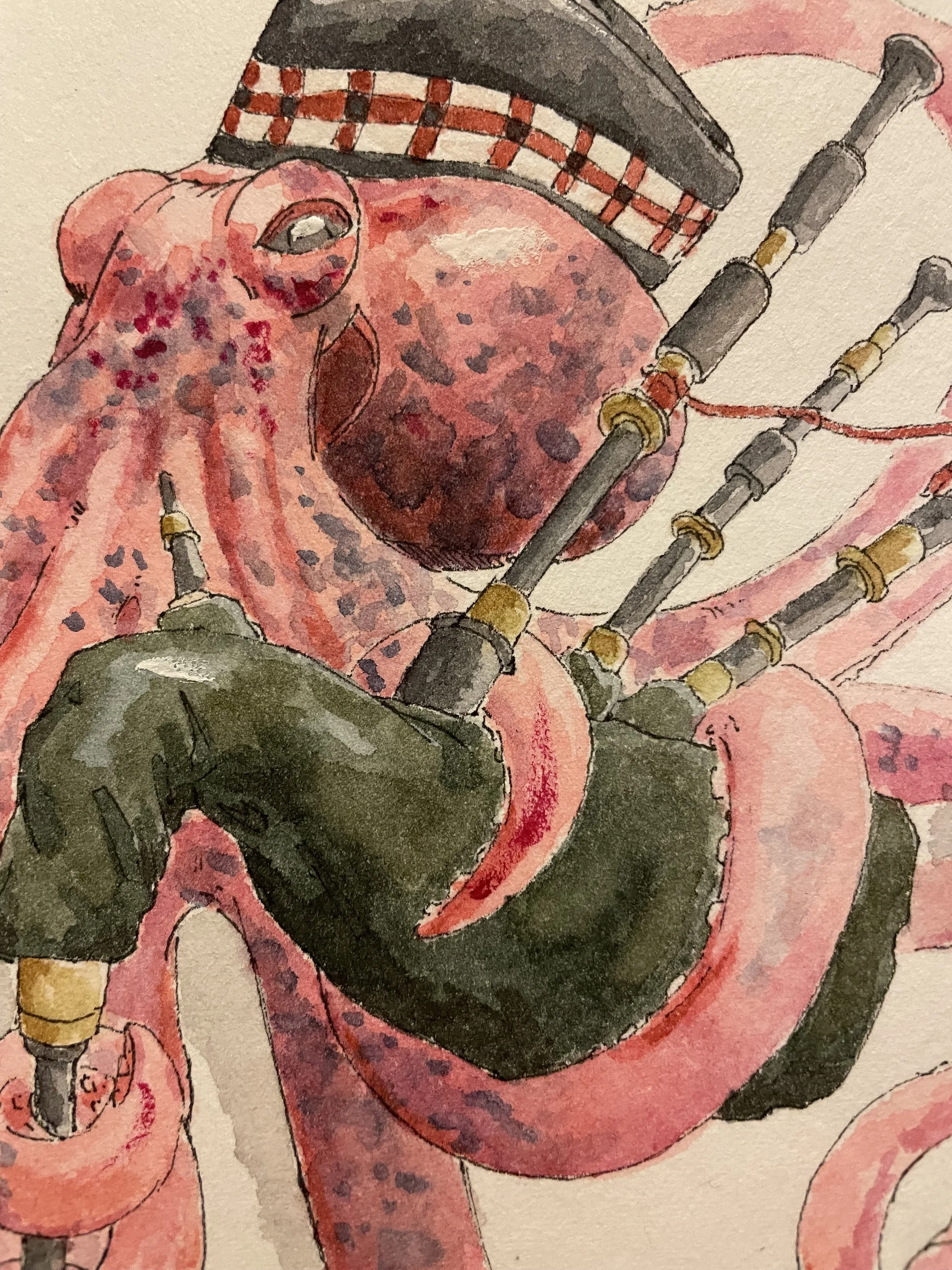 scotopus 5.jpeg