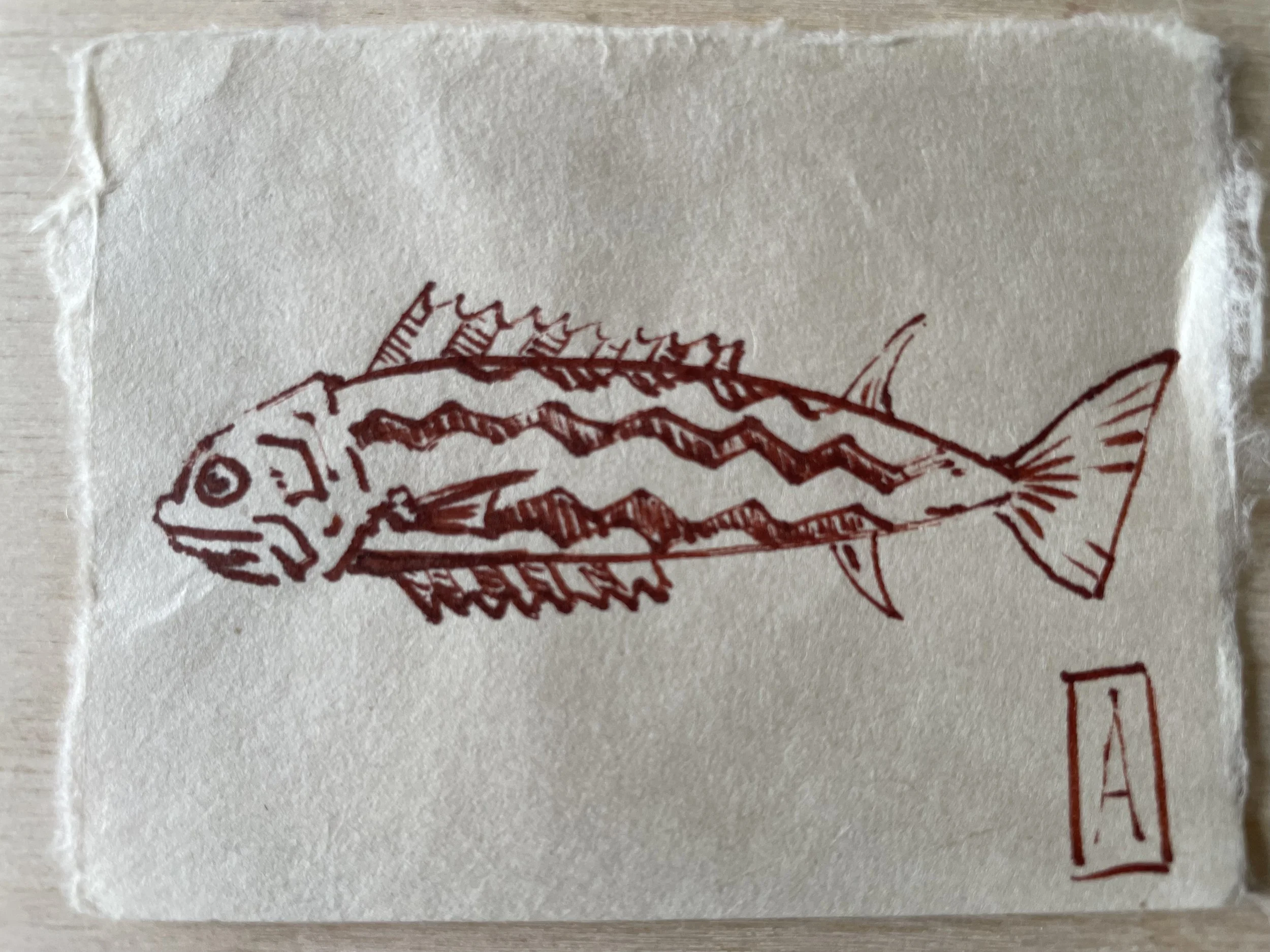 Zig zag fish drawing