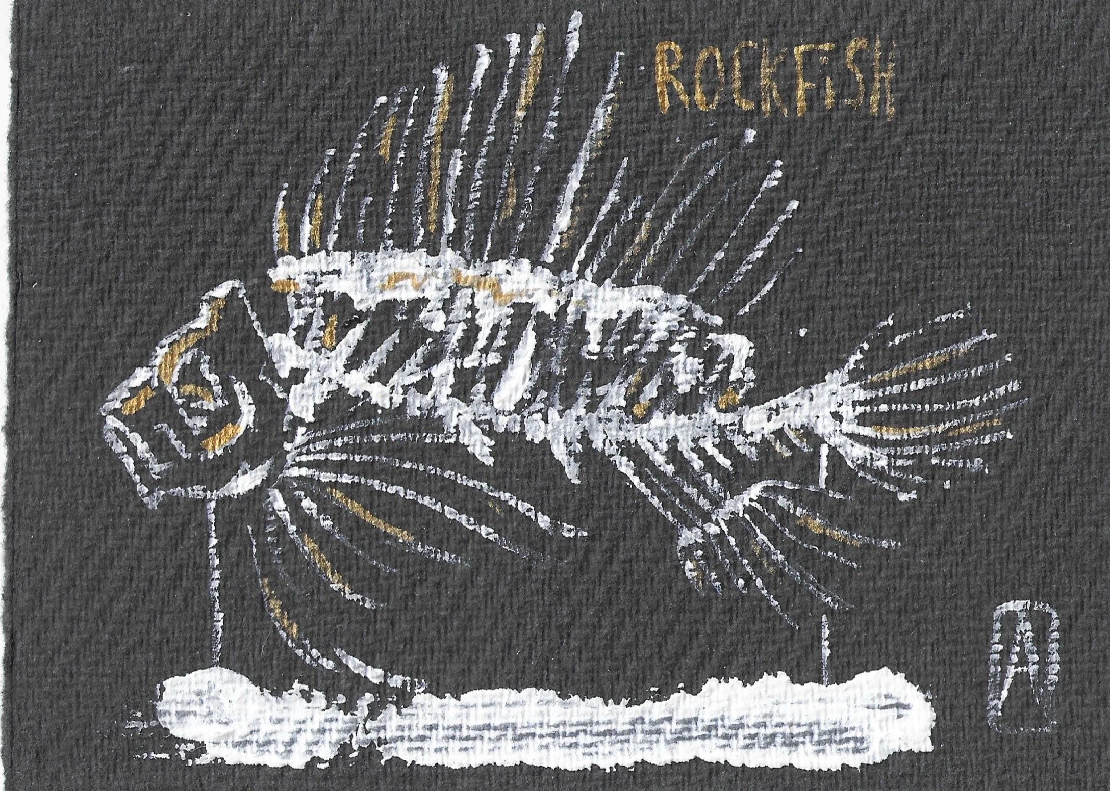 Rockfish specimen.jpg