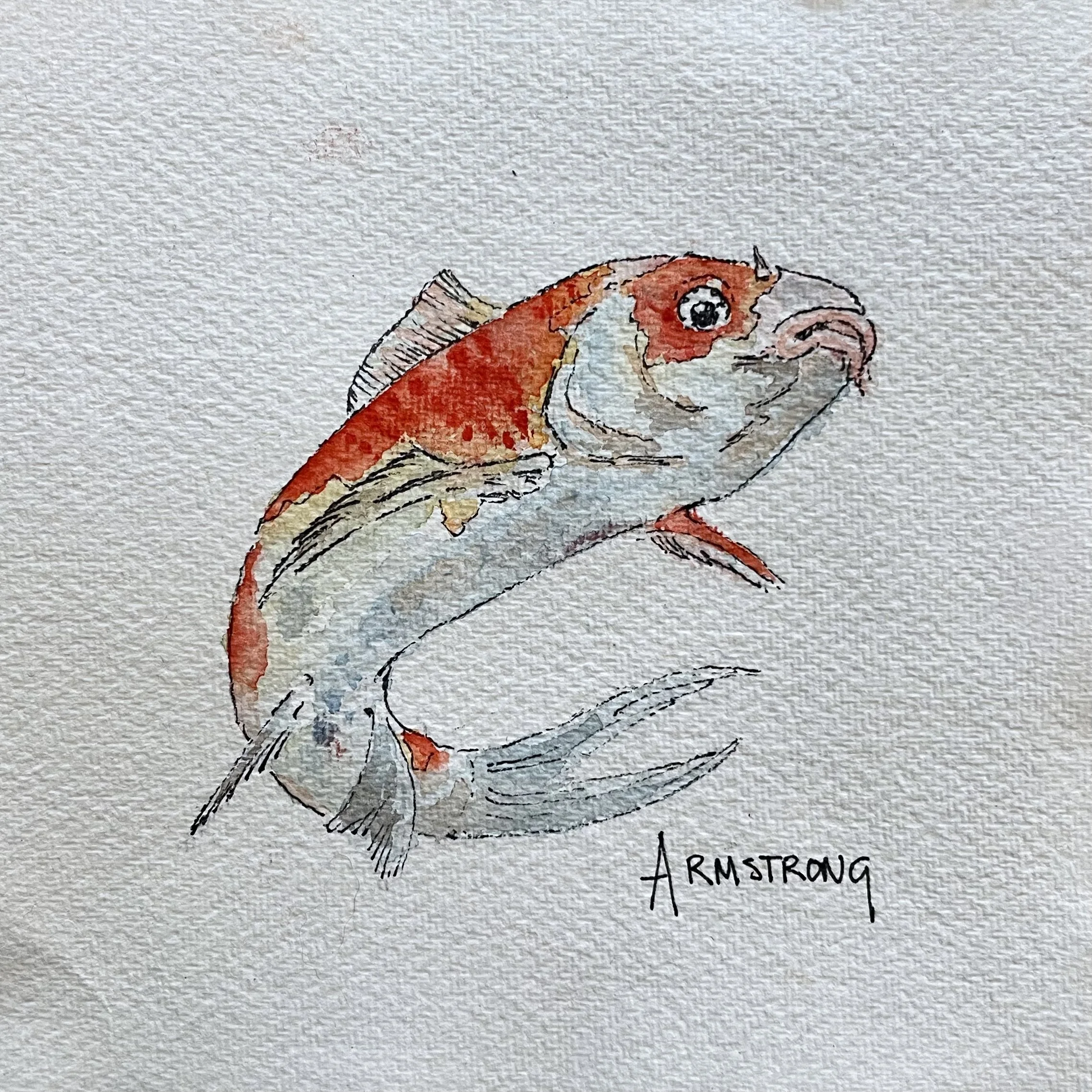 Watercolor painting of a fish with the name Armstrong written below.
