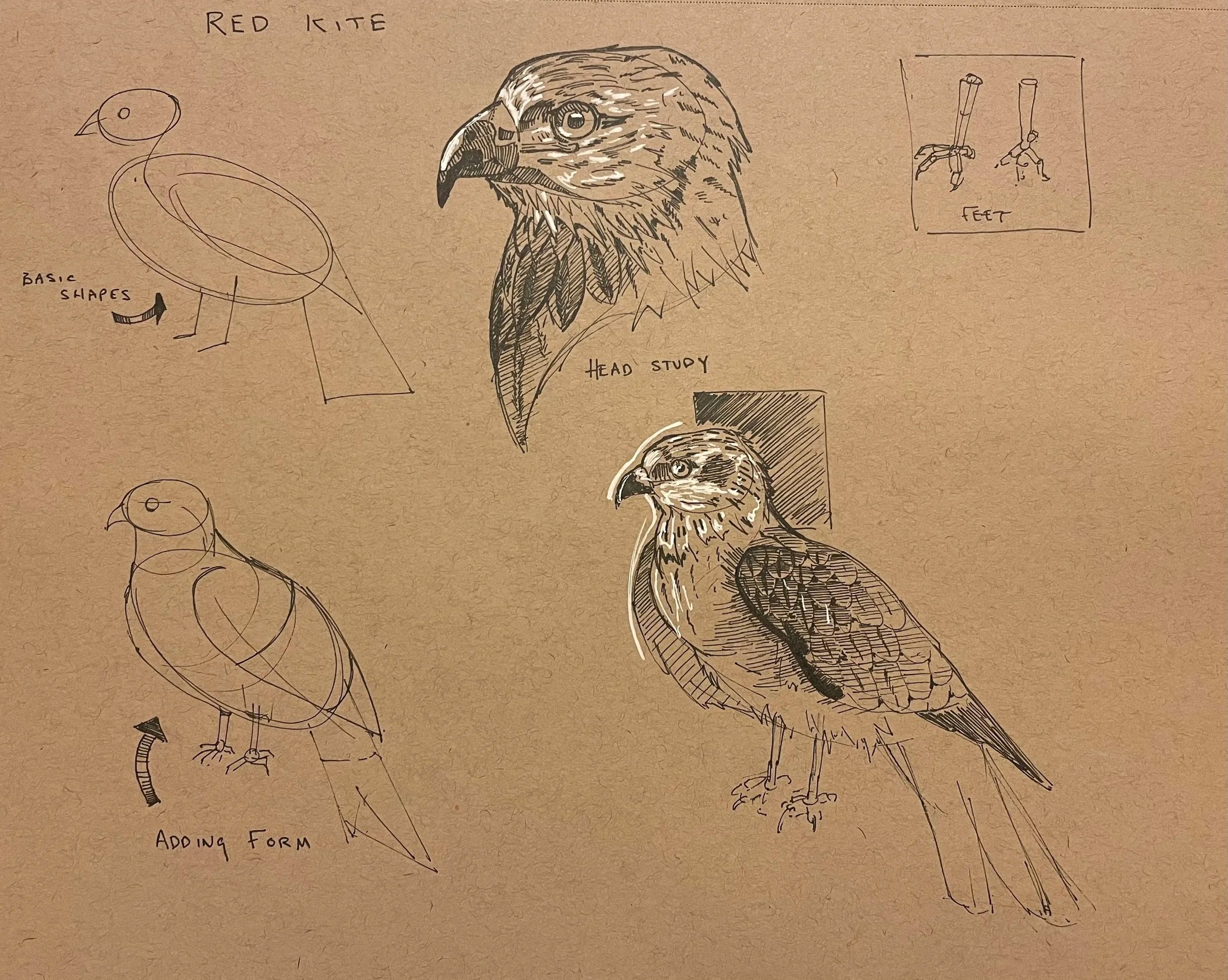 Sketches