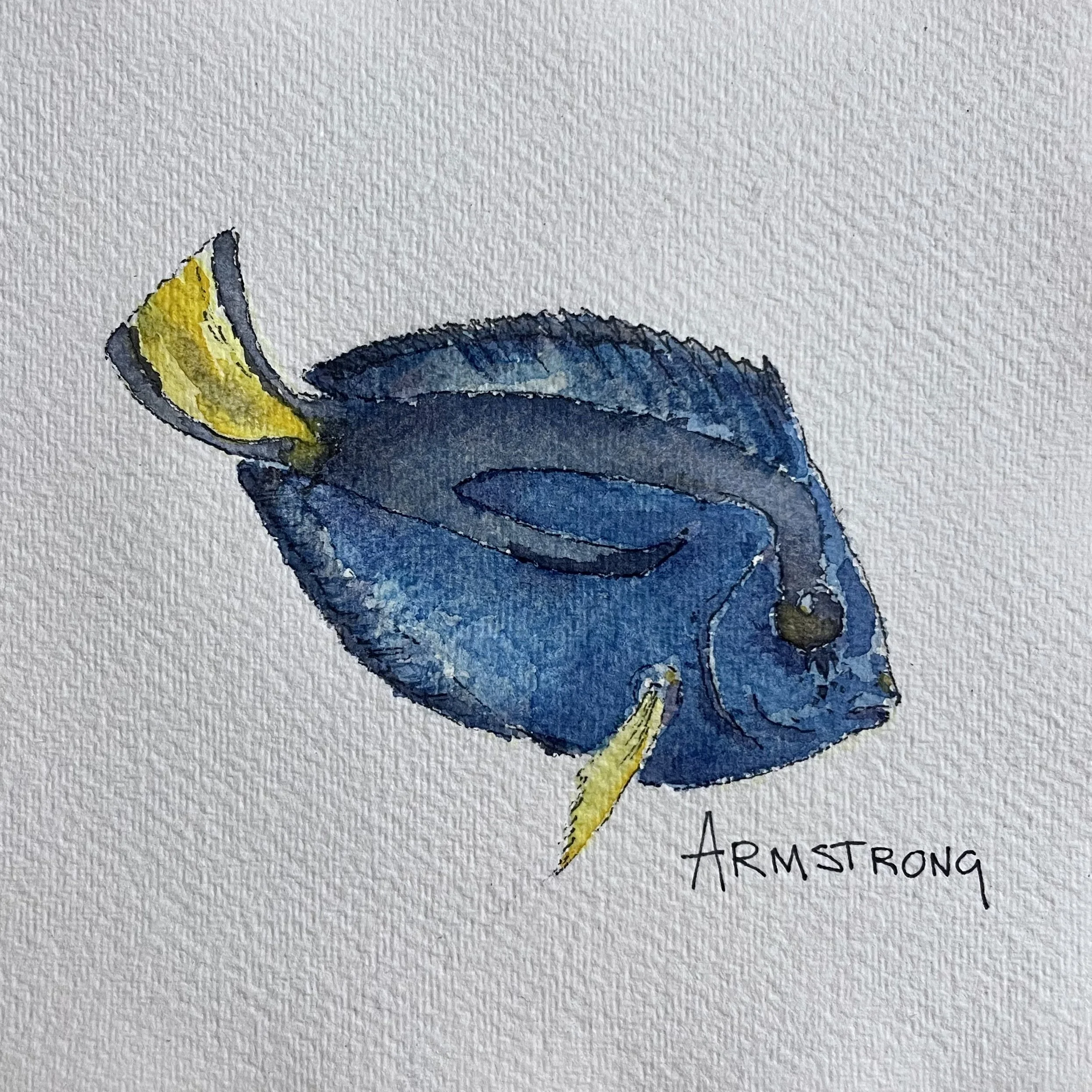 Watercolor painting of a blue fish with yellow fins, labeled 'Armstrong'