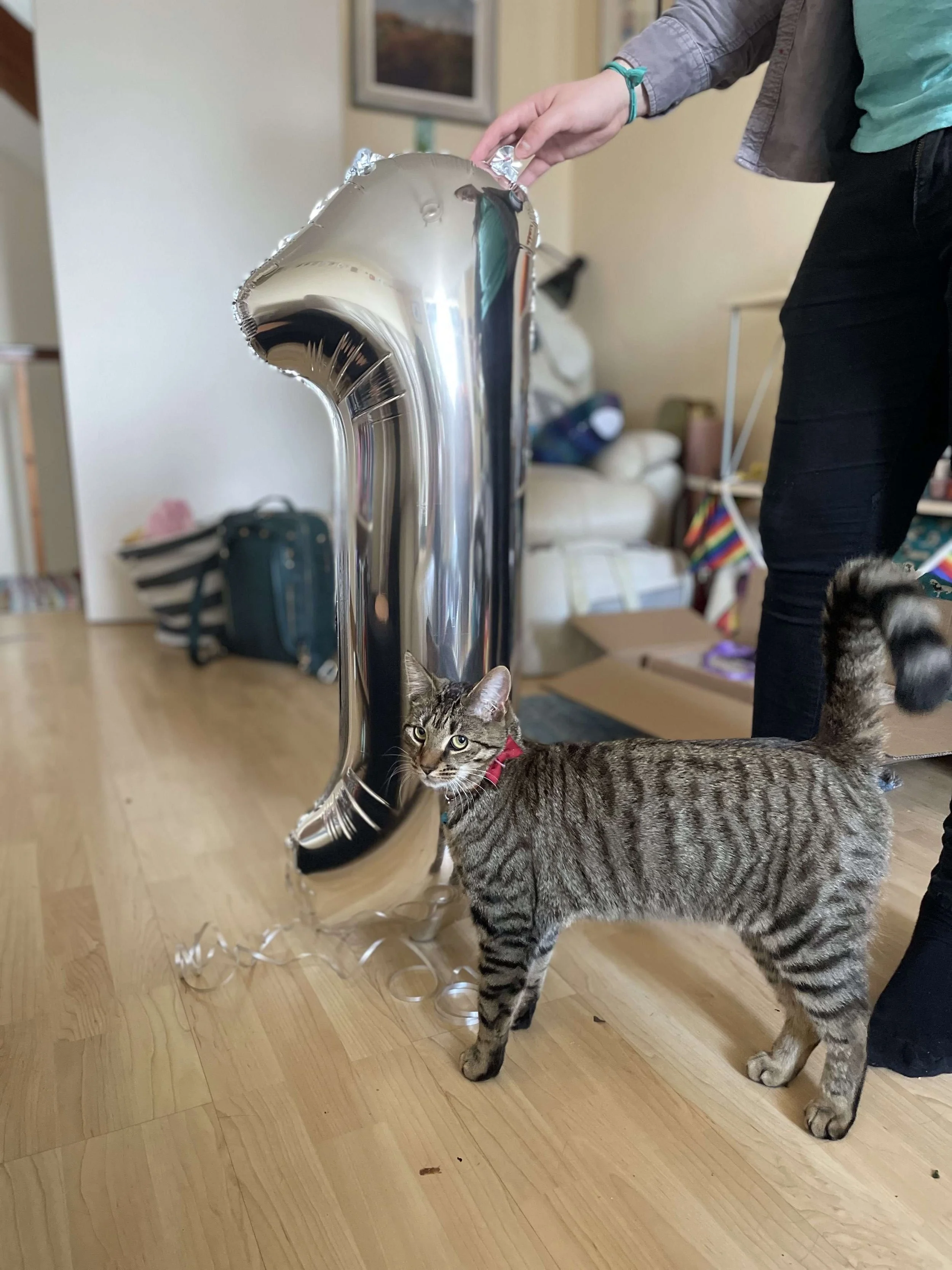 First birthday.jpg