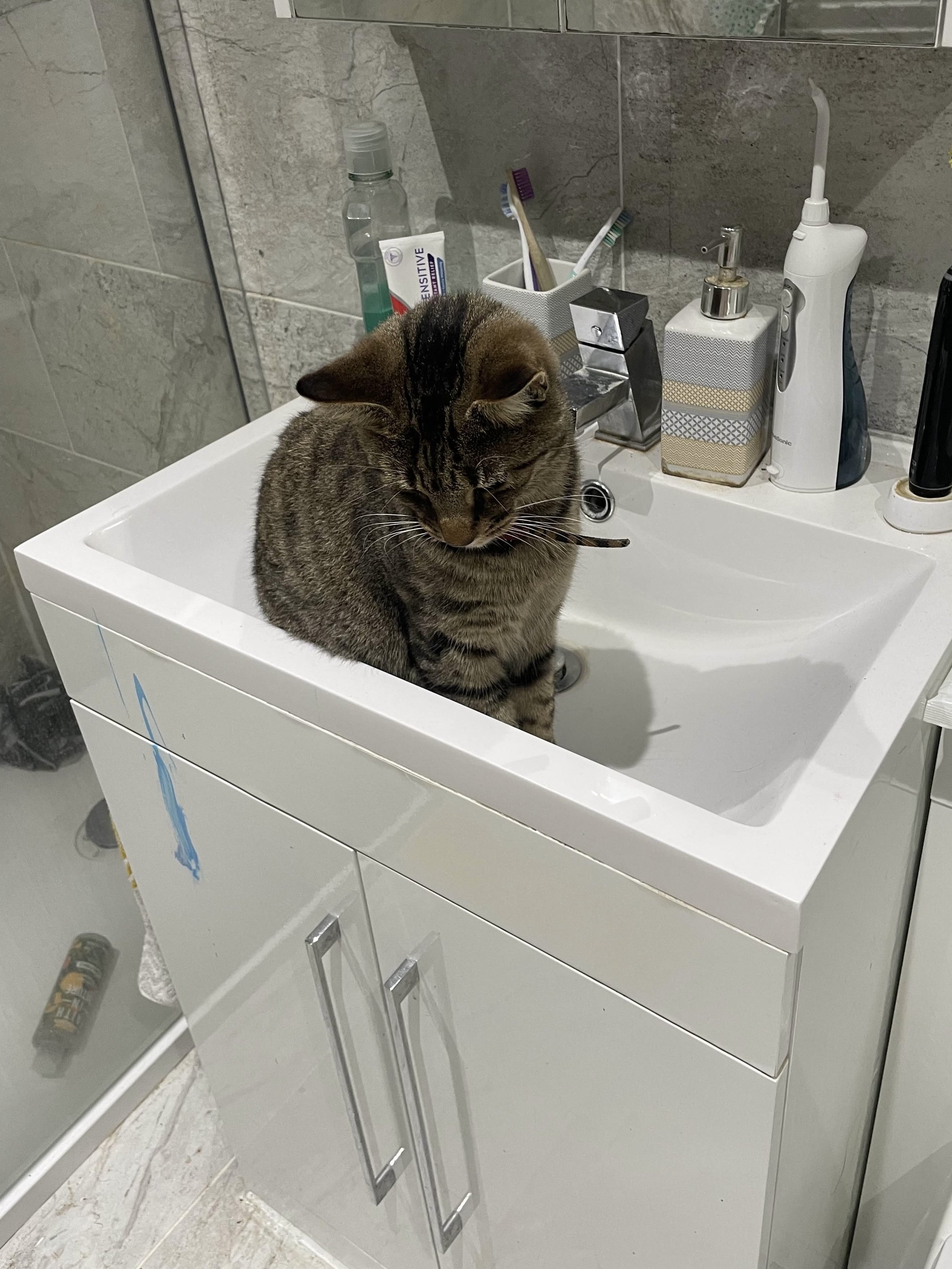 Sink girl.jpg