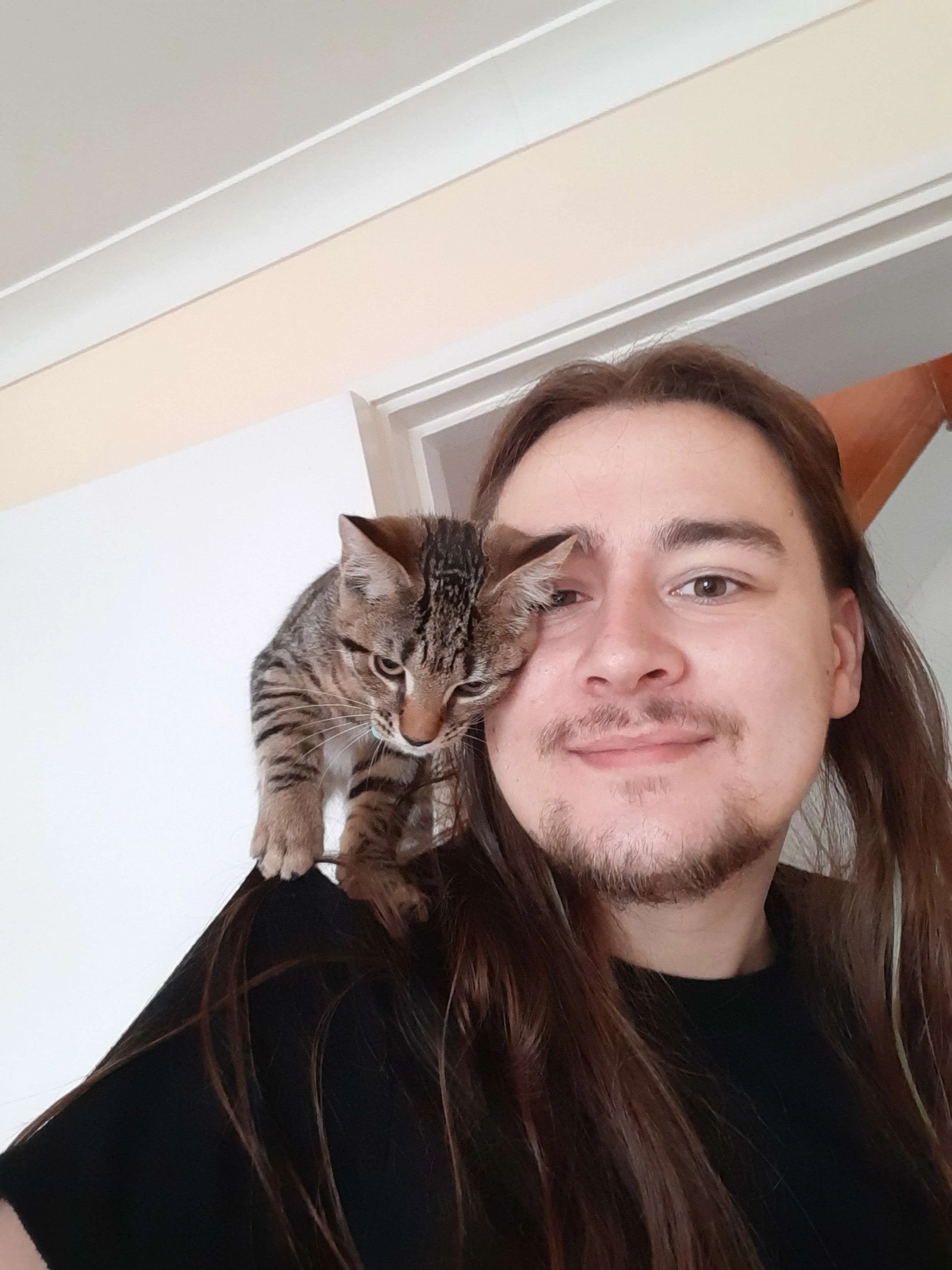 Kitten with Finn.jpg