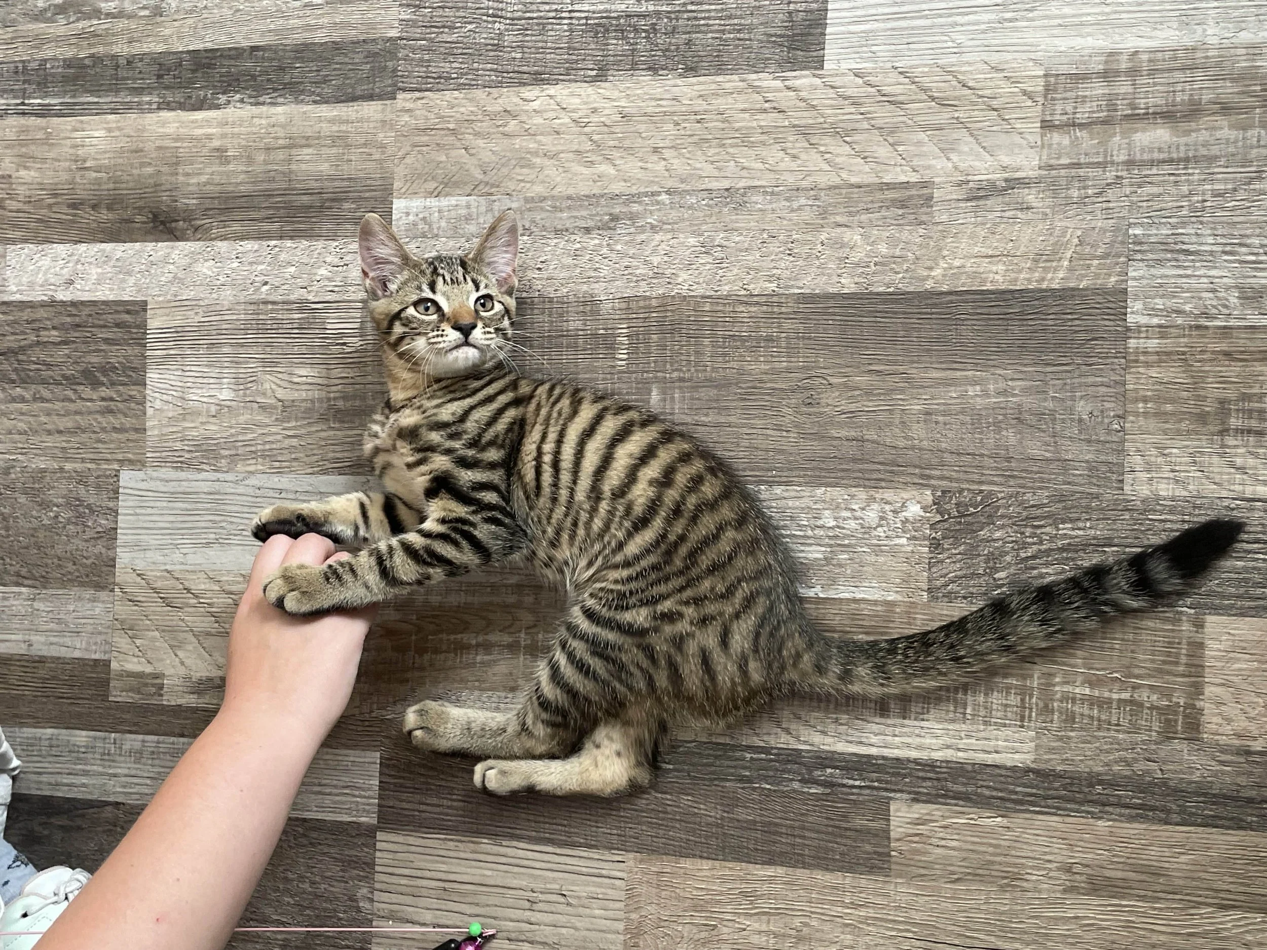 Holding hands on our first day together.jpg