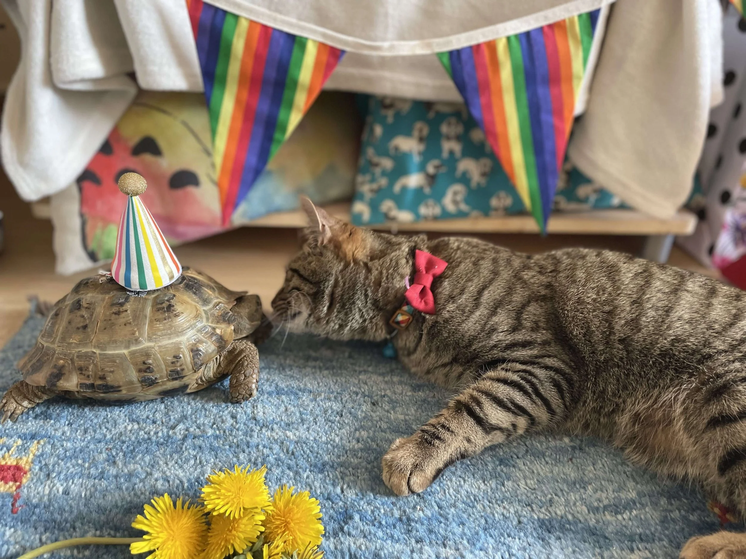 Sisters at a birthday party SNIFF.jpg