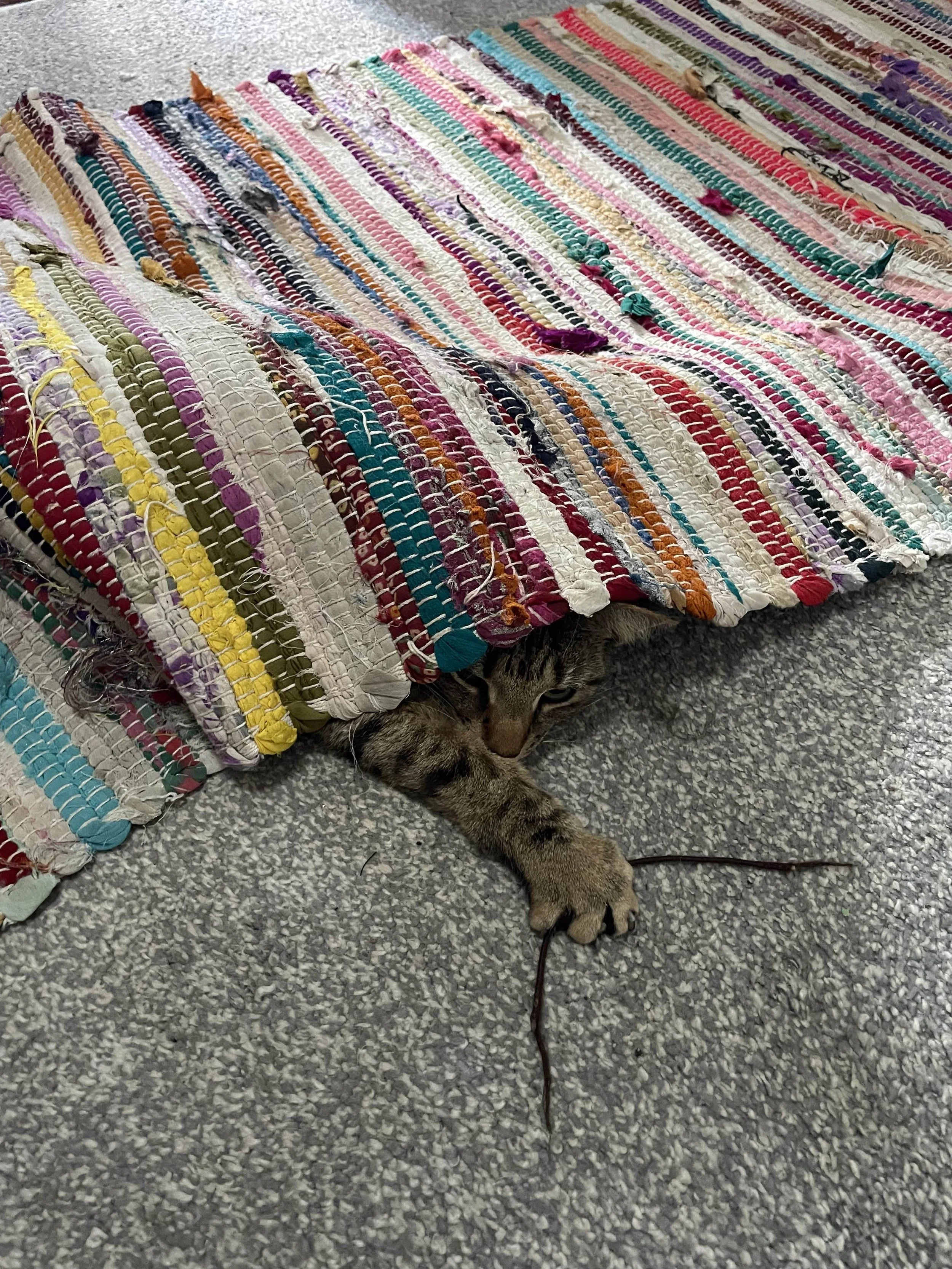 Hiding.jpg