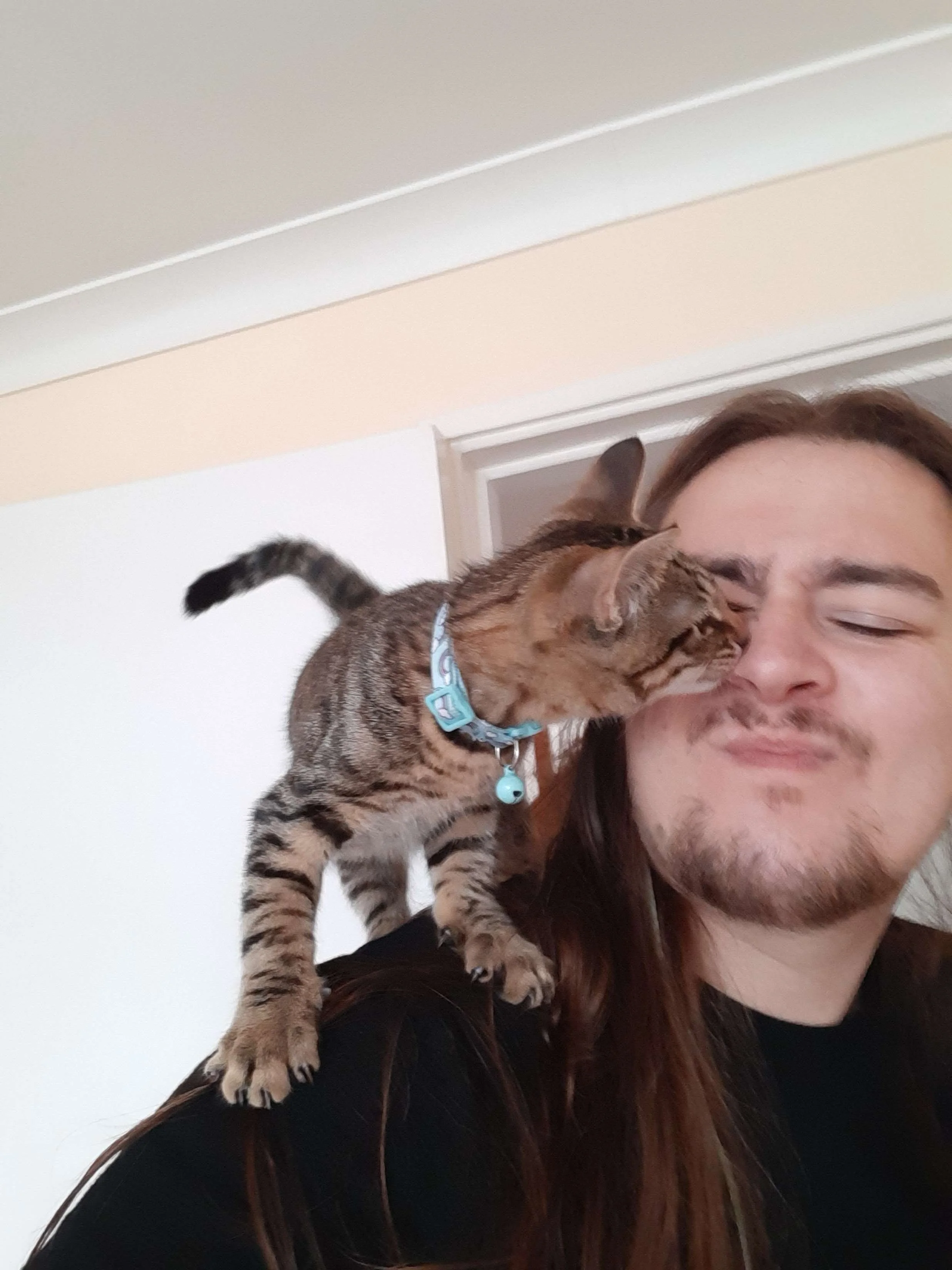 Kitten with Finn lick.jpg