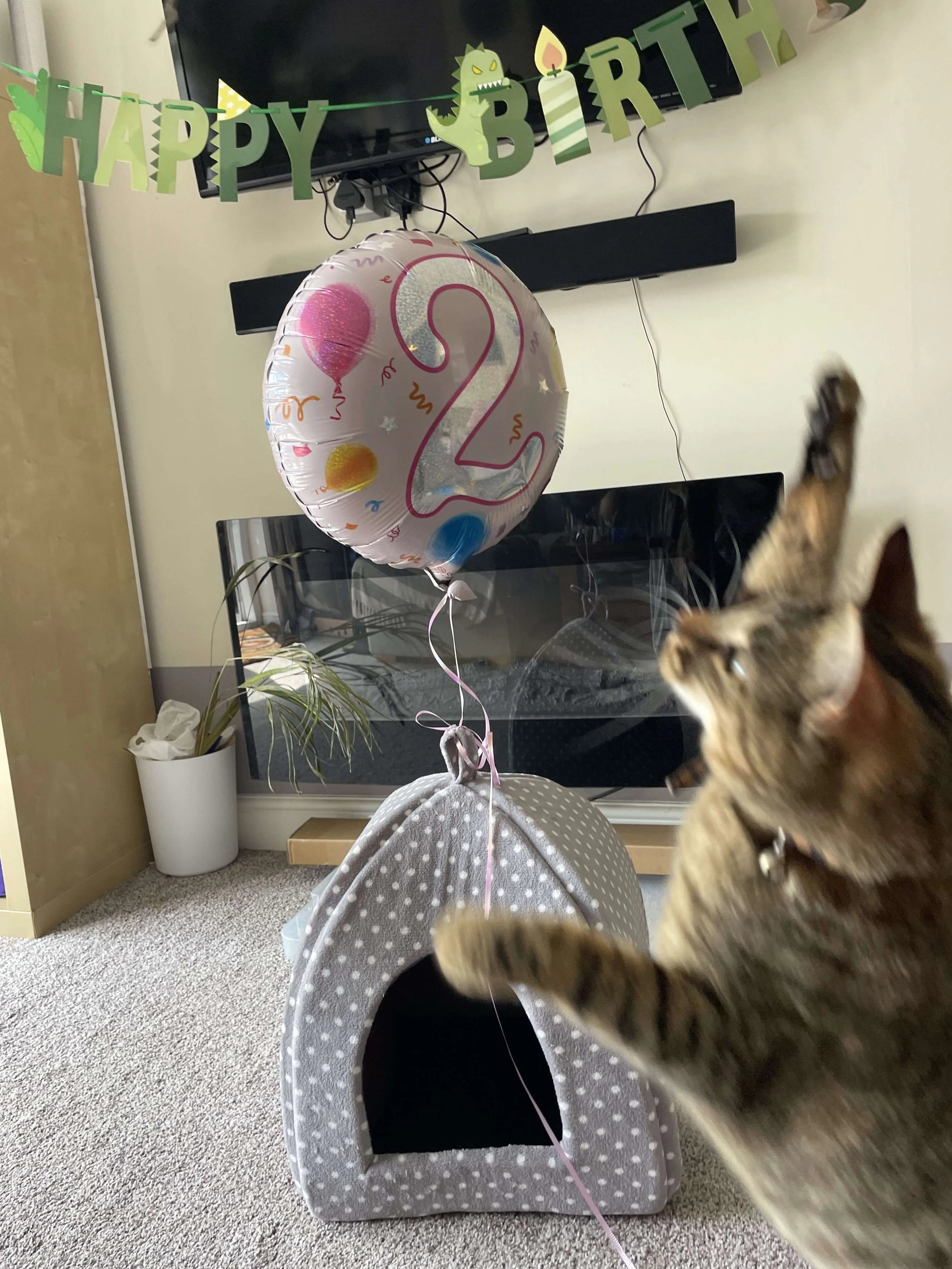 Birthday parkour.jpg