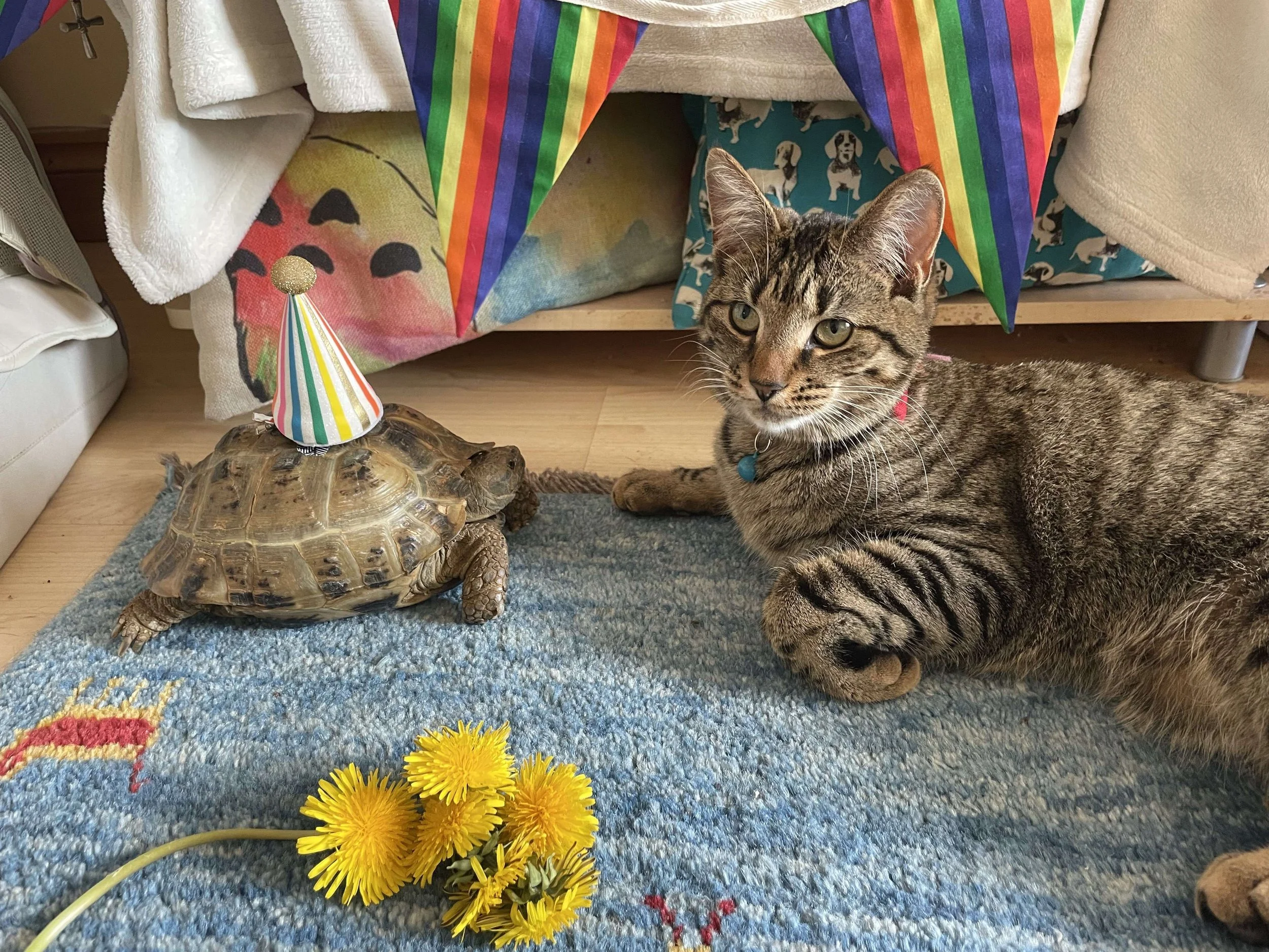 Sisters at a birthday party.jpg