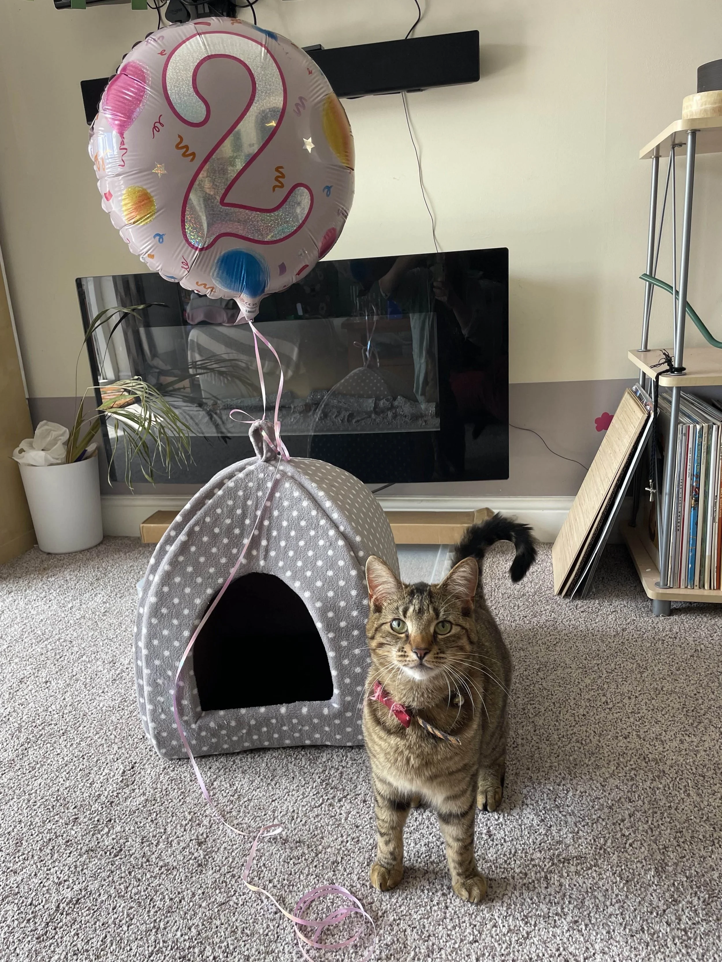 Second birthday.jpg