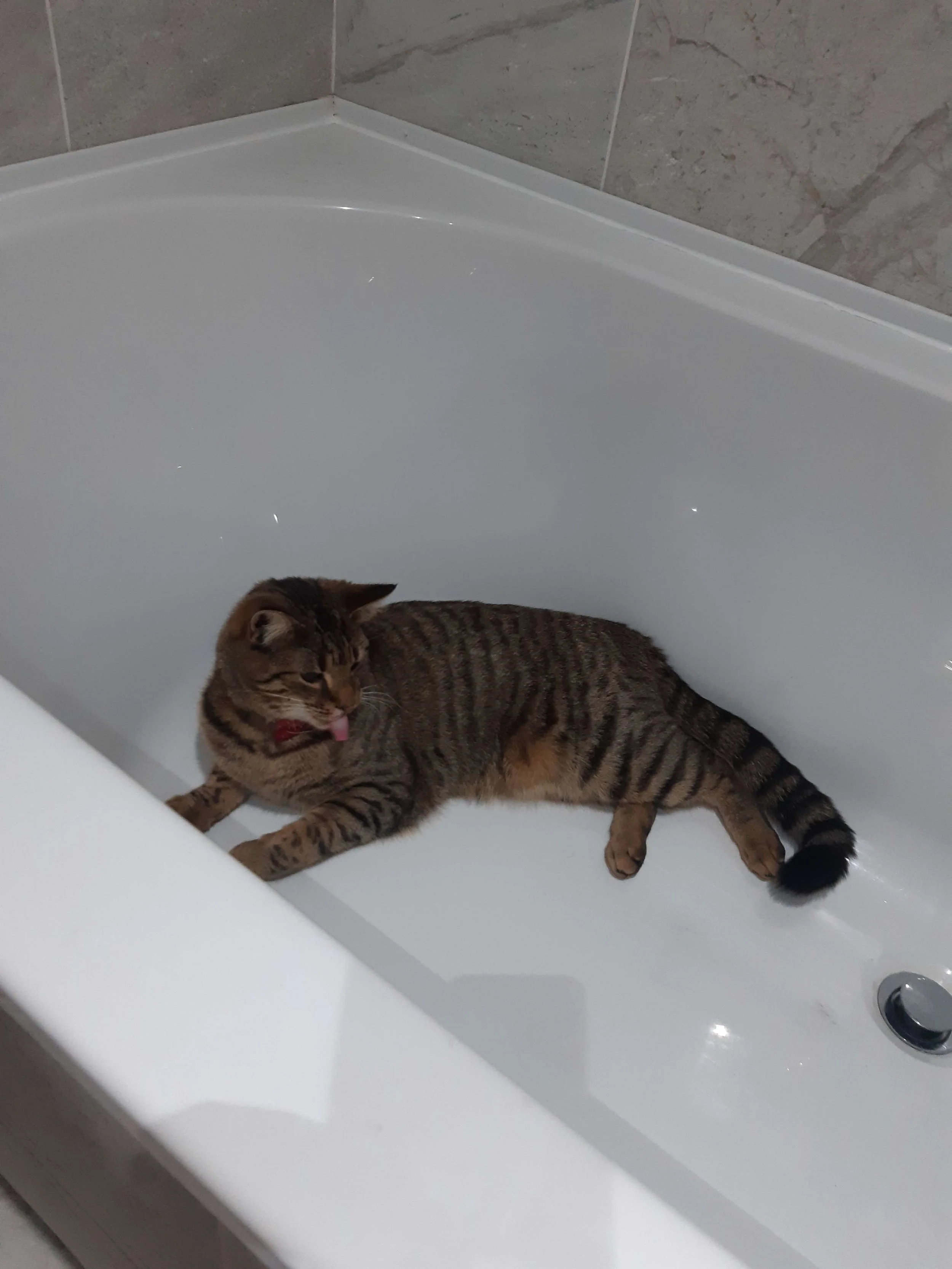 Bath girl.jpg