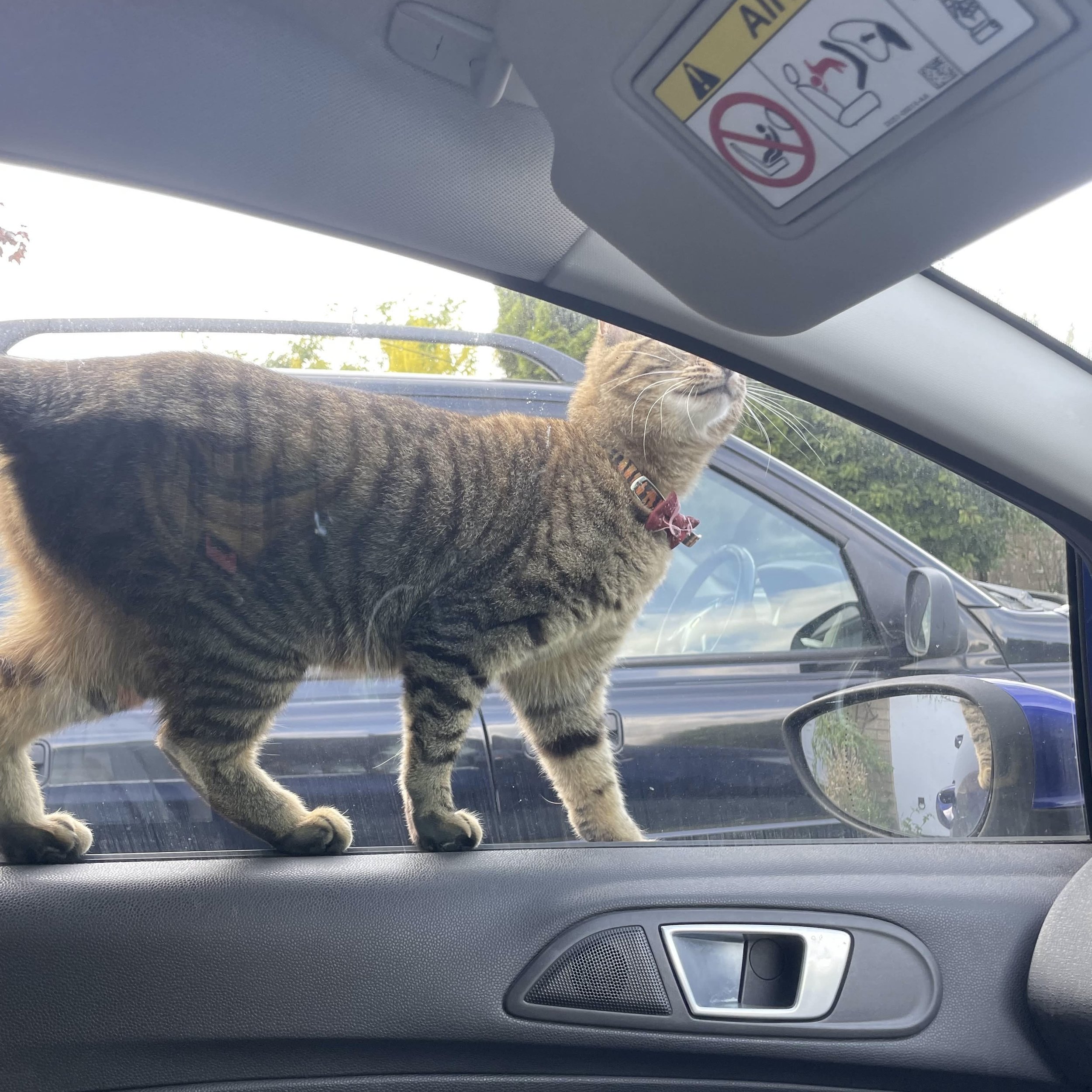 Insisting I get out the car faster.jpg