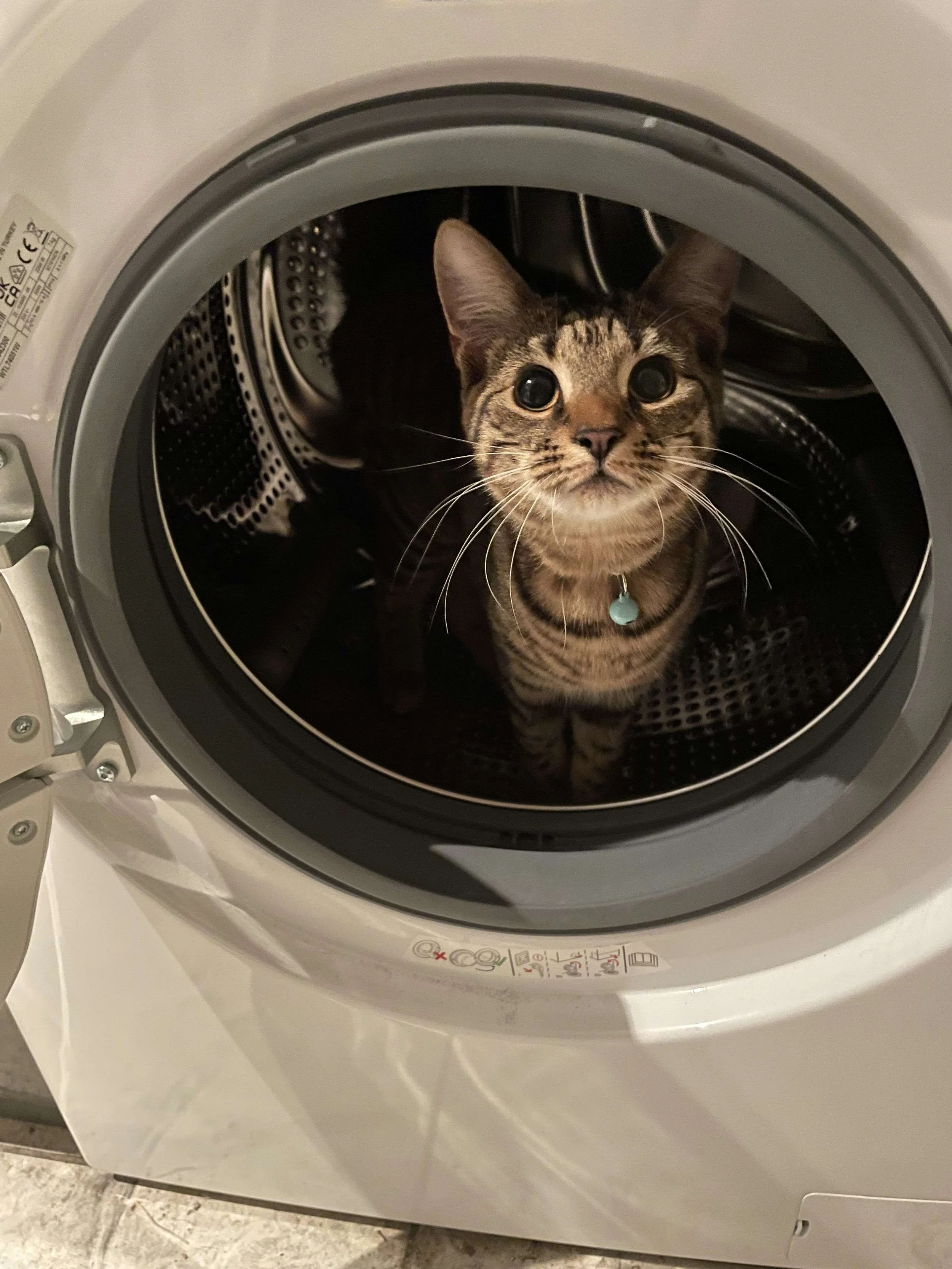 Baby in a spaceship.jpg