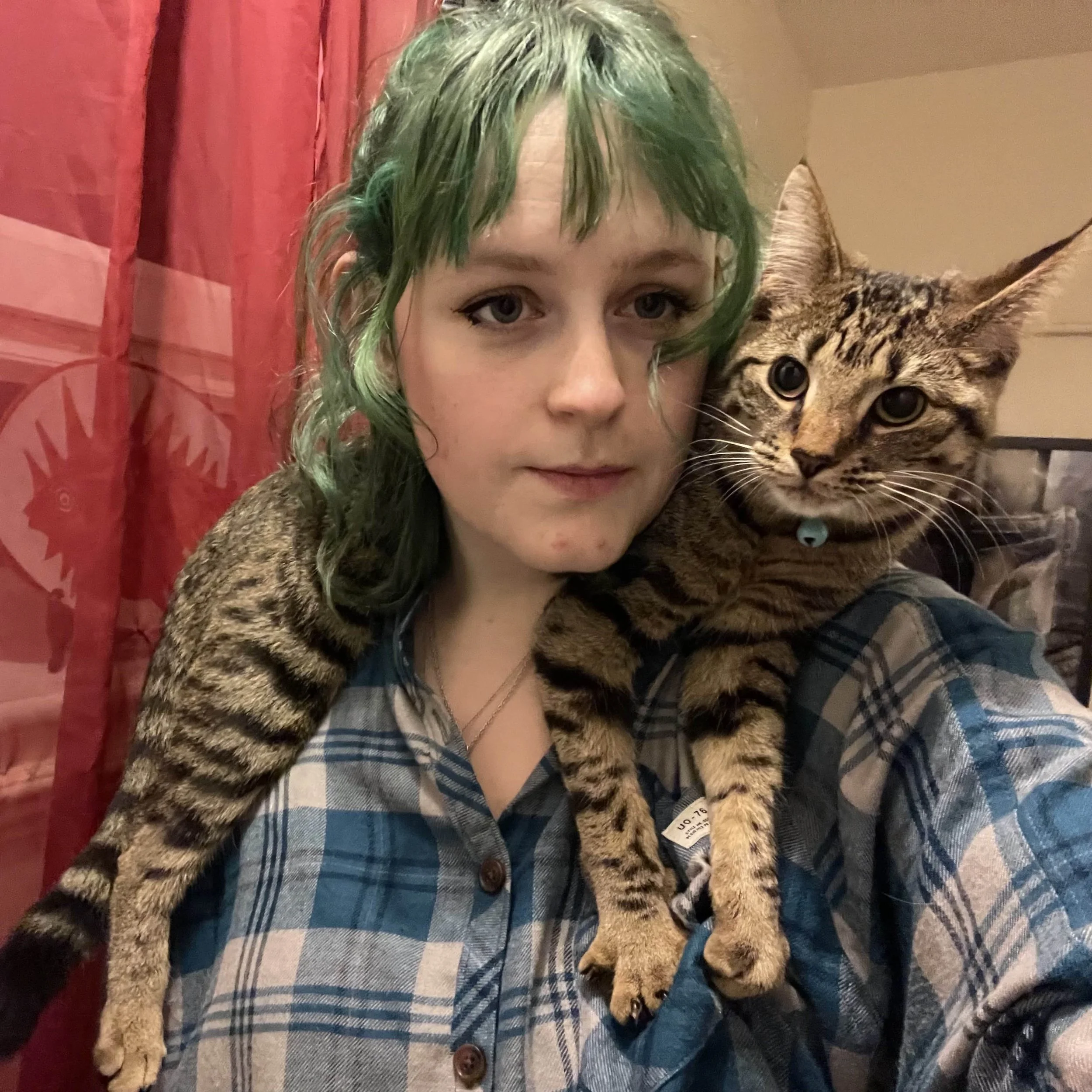 Scarf cat.jpg