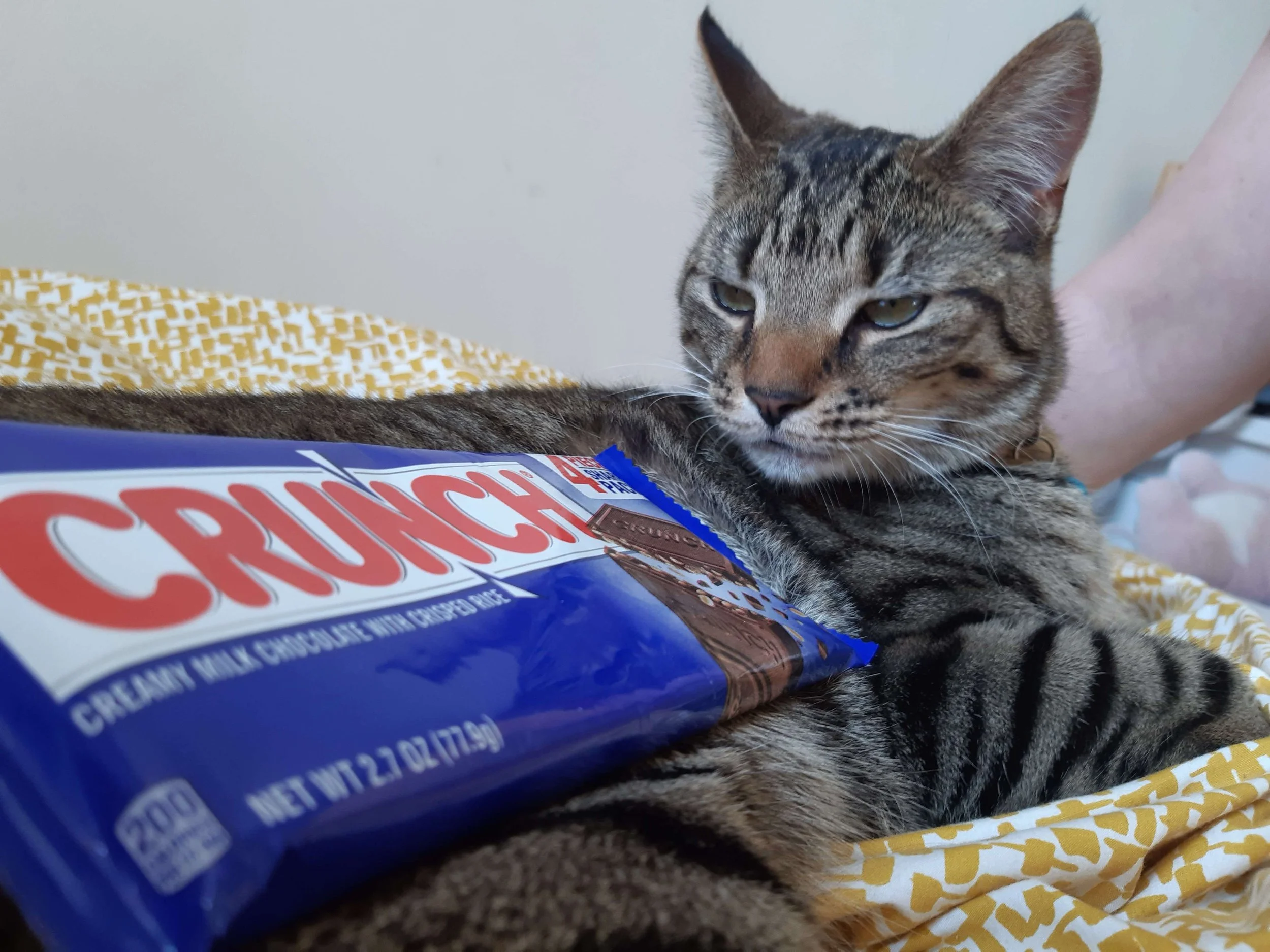 Crunch.jpg