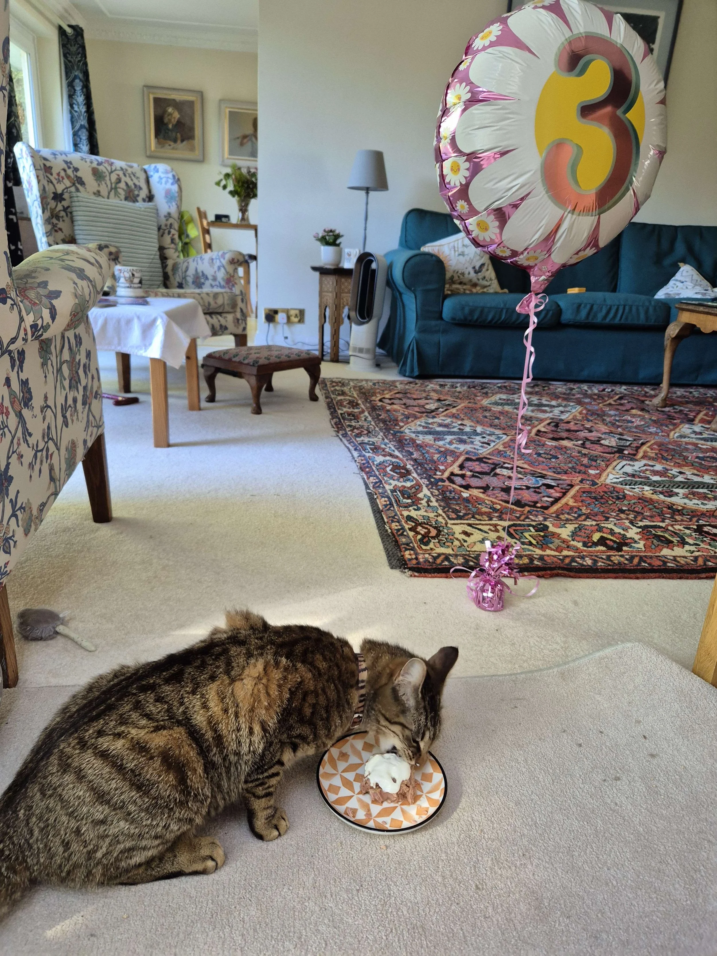 Third birthday.jpg