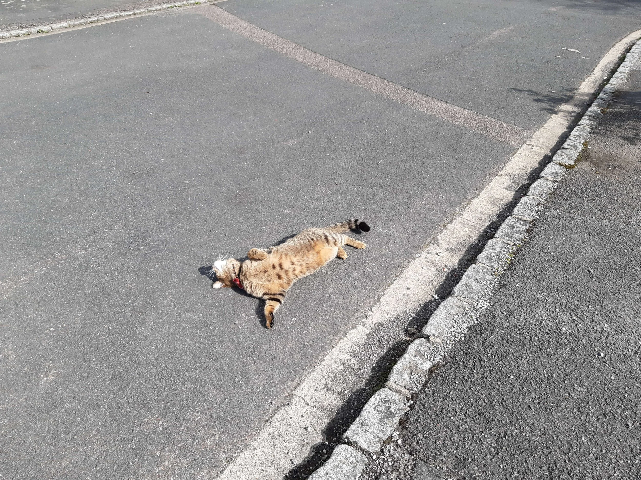 Street girl.jpg