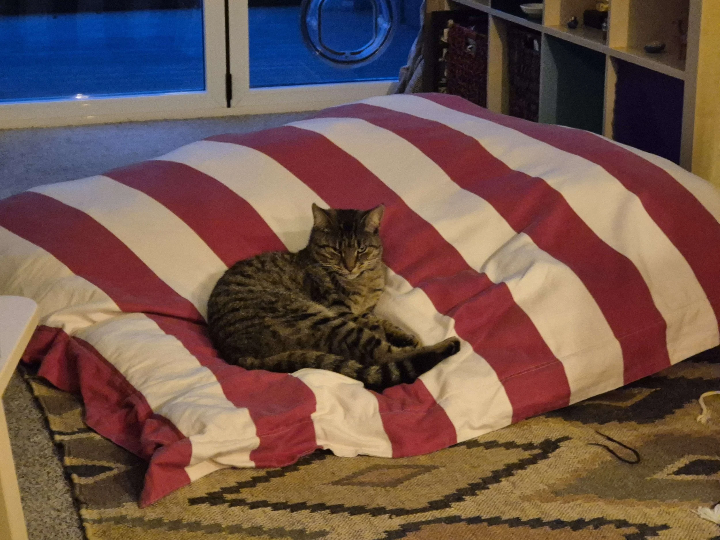 Big cushion, big dreams.jpg
