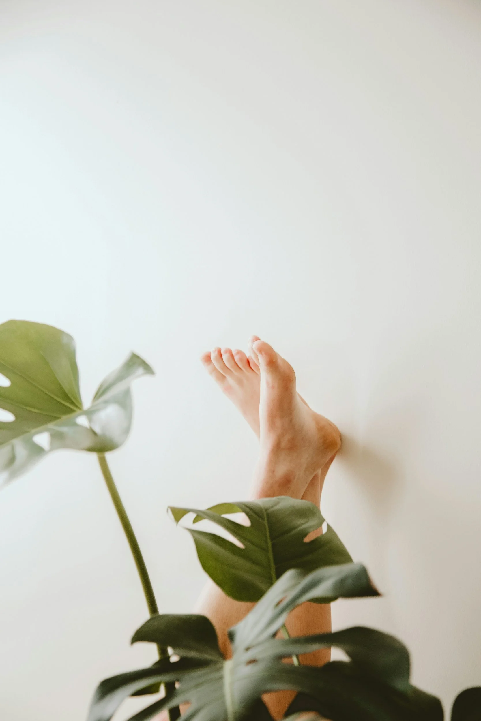 Person lying with feet up against a white wall, partially obscured by large green leafy houseplants.