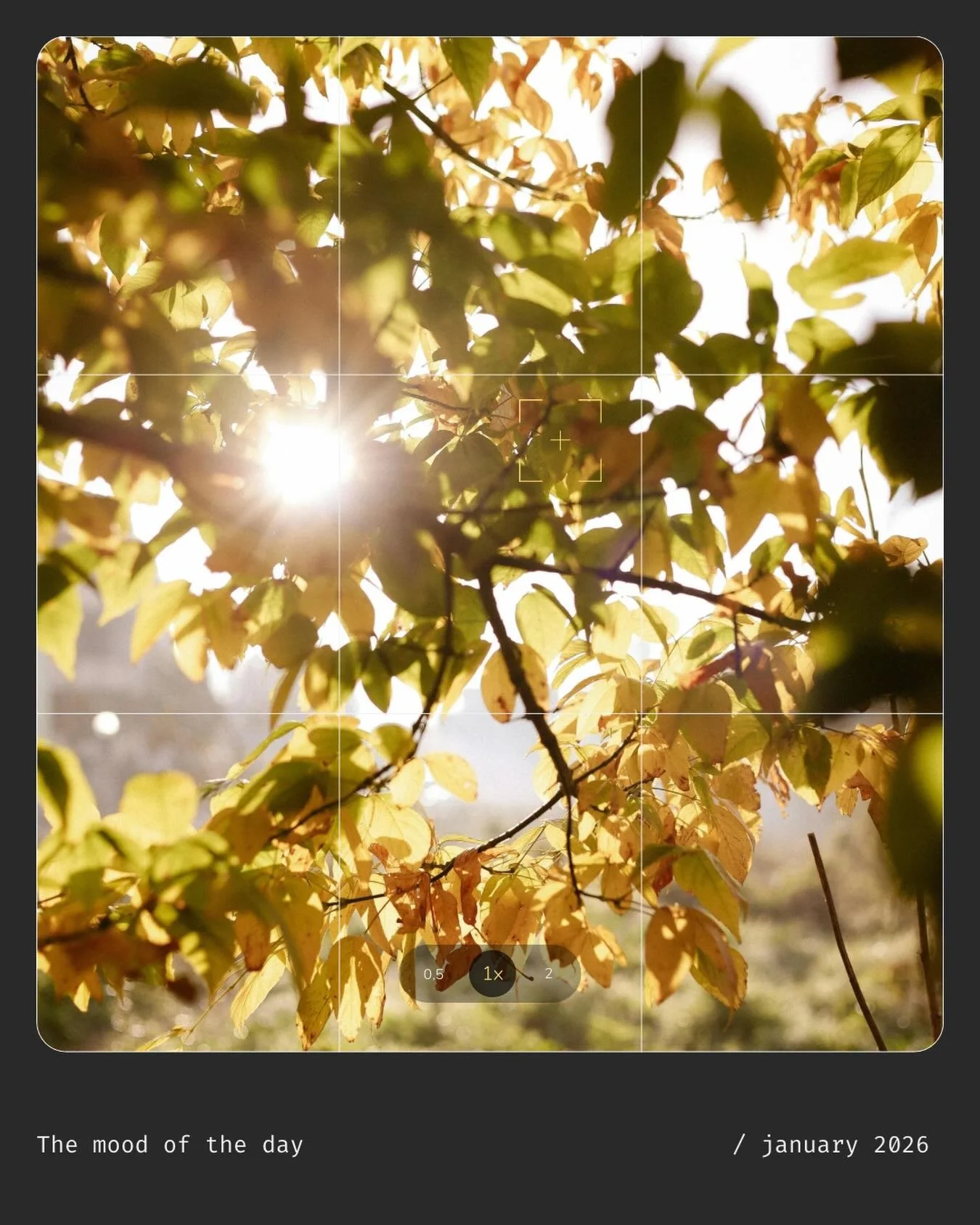 The nervous system is designed to respond to stress and then return to a state of rest. However, modern life often keeps it activated for far longer than it was built for.

When this happens, the body may prioritise survival over rest, digestion, rep