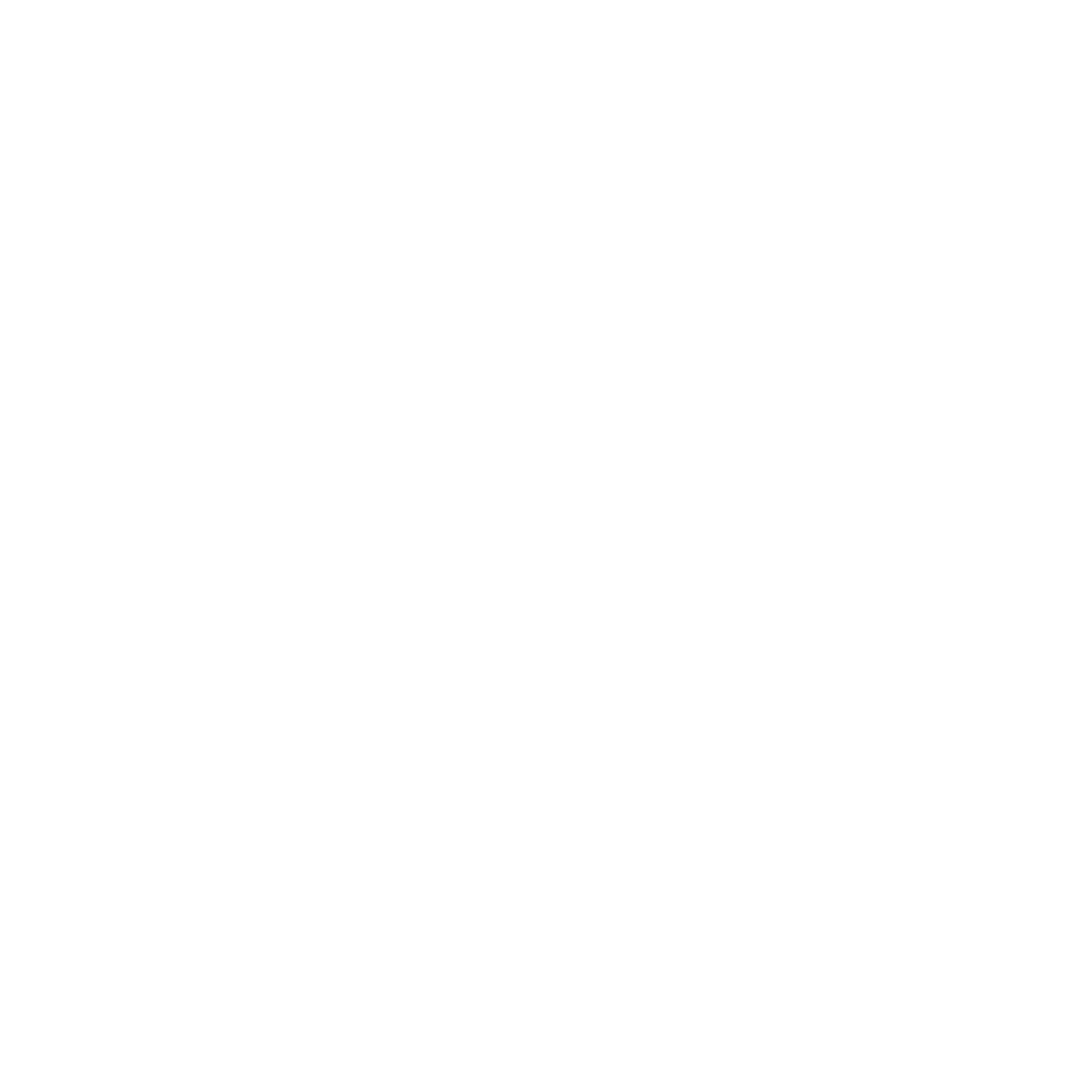 The Agile Gorilla | Value Creation through M&amp;A