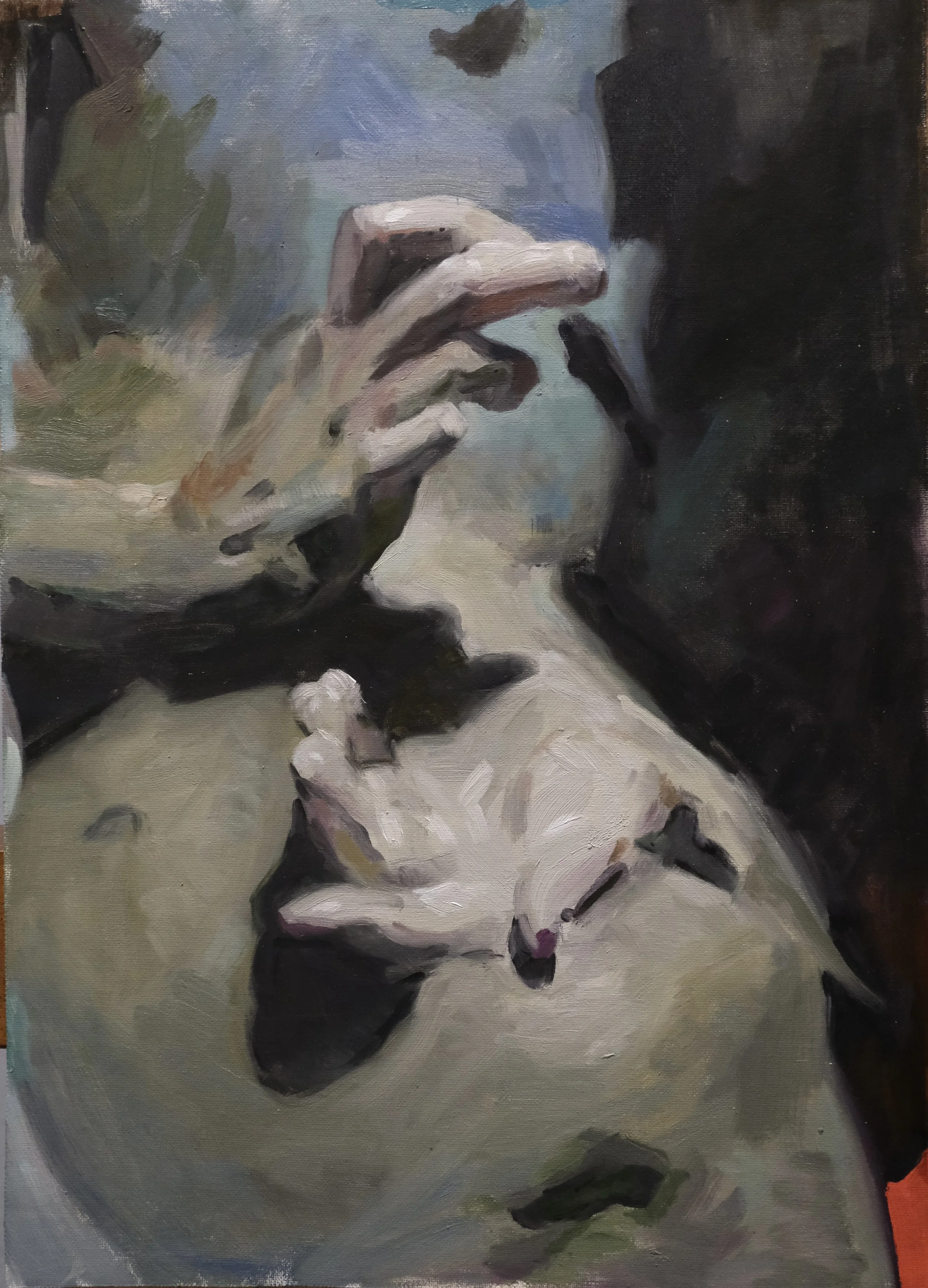 Senza Appiglio (SOLD)