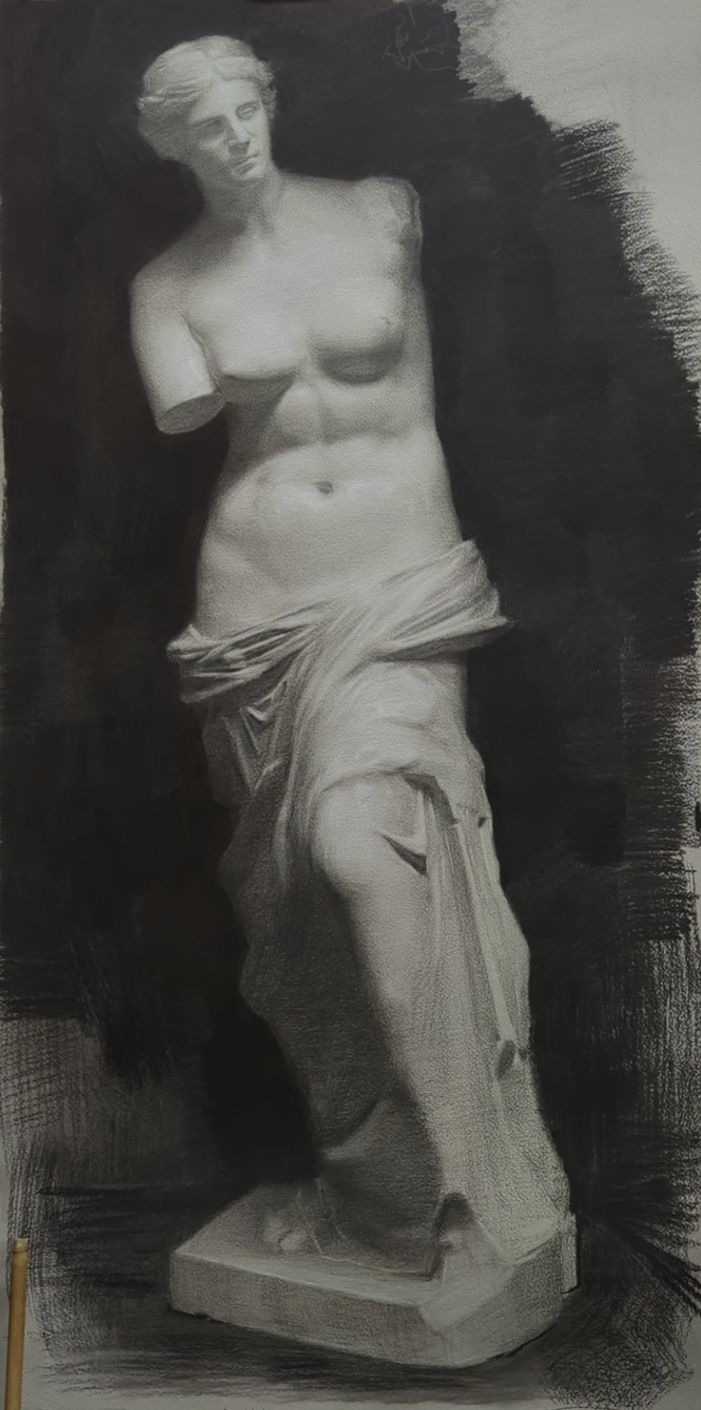 Charcoal Cast Study 
