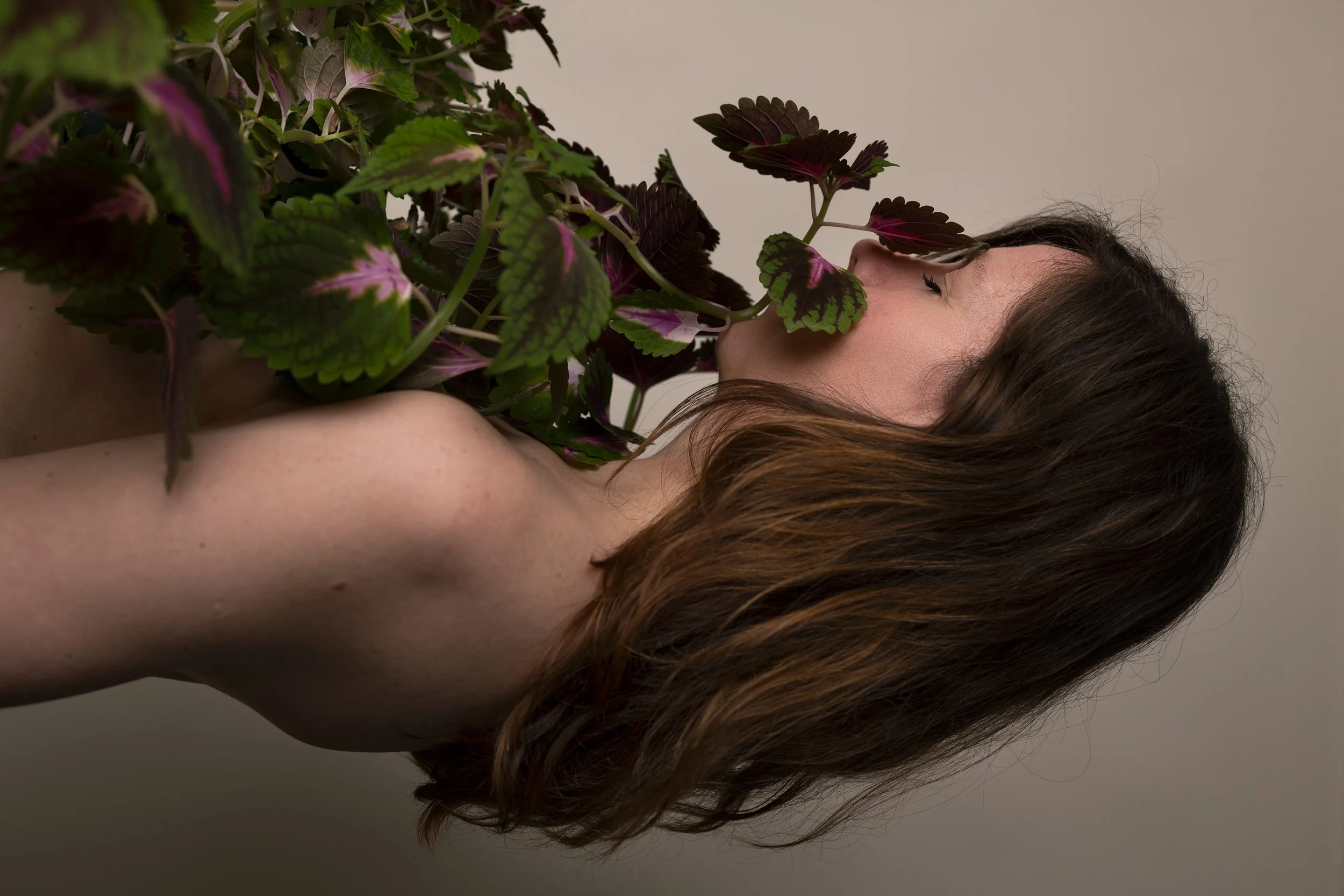 Kvinne med langt brunt hår holder en plante med grønne og lilla blader foran ansiktet, med øynene lukket.