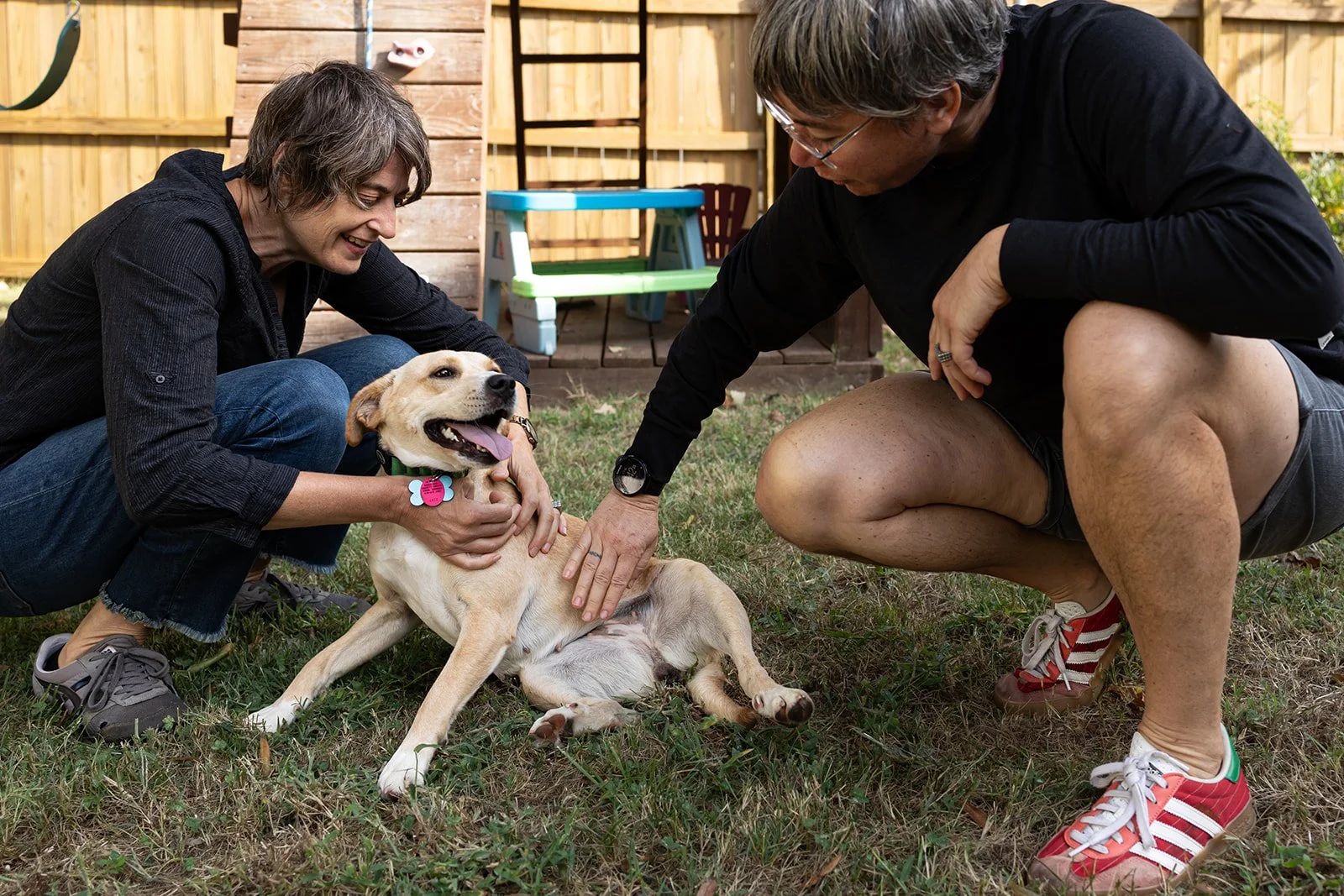 Two people are playing with a laughing dog on the grass in a backyard. One person is crouching on the left, and the other is squatting on the right. The dog is lying on its back with its tongue out, and they are petting and touching the dog.