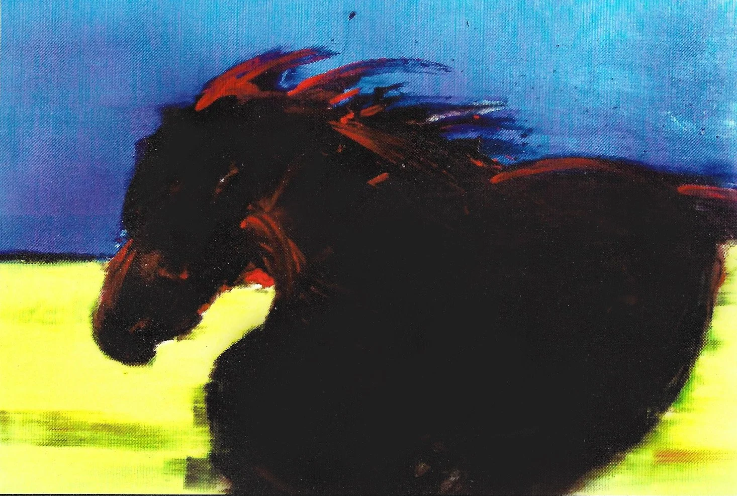 Dakota Horse copy.jpg