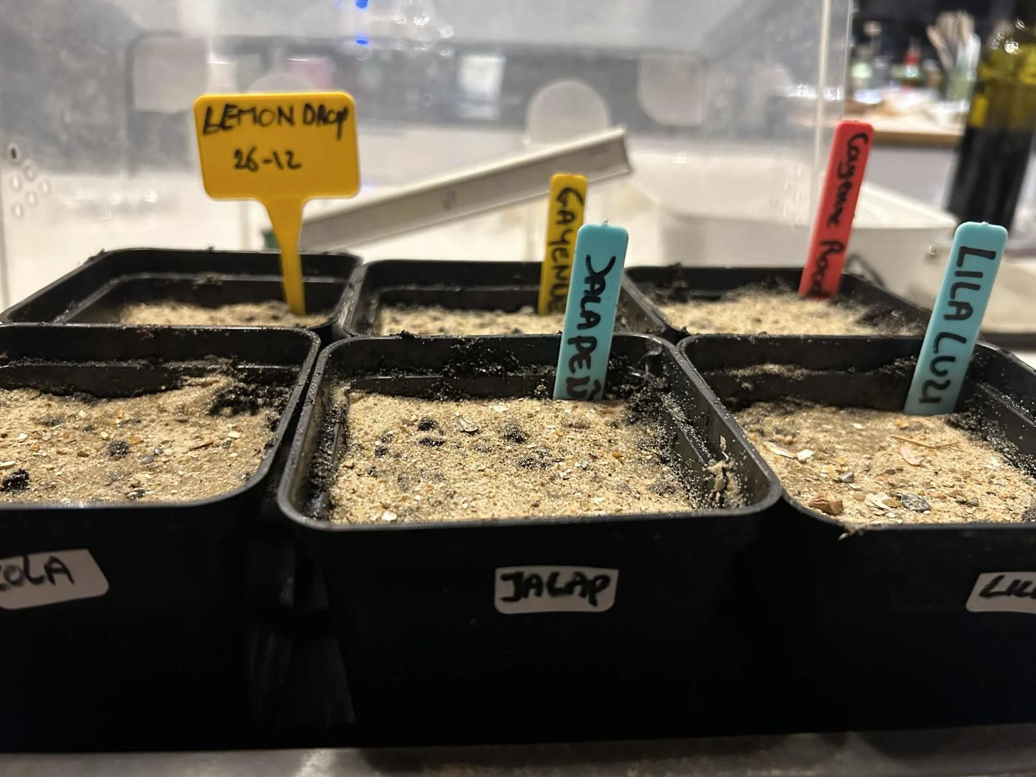 7634d8d6-199b-4670-ab12-c45ccf9c2835 (1).jpg