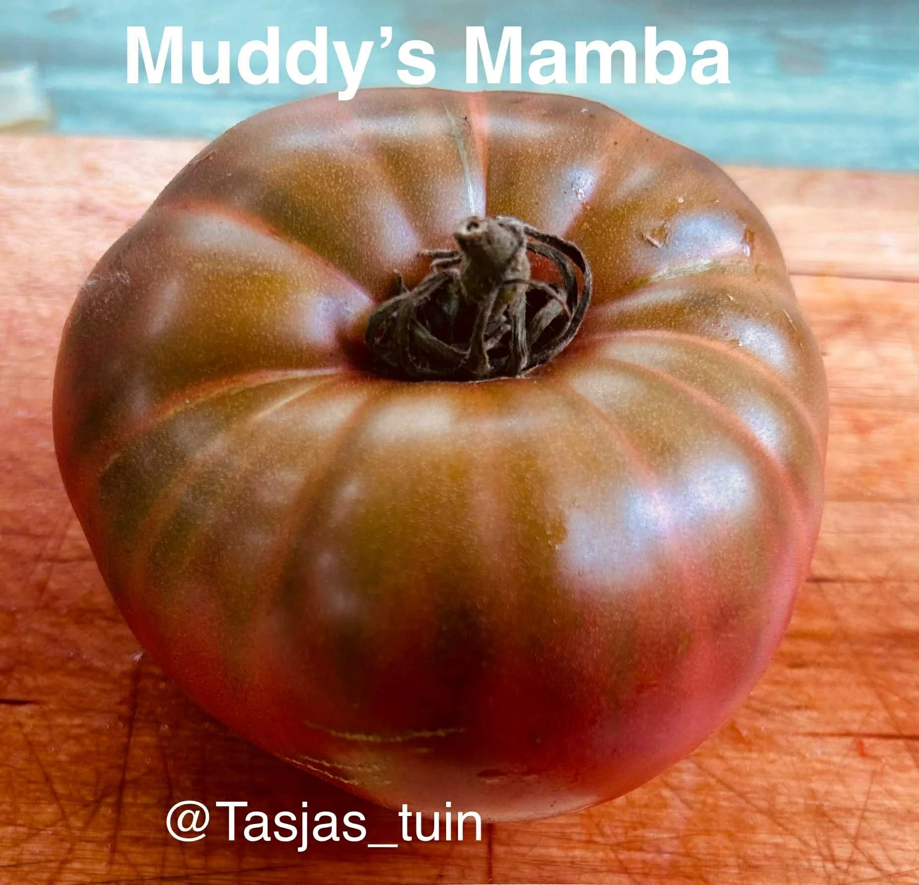 c5f7a797-b556-4fd2-862e-937e140f5d9c (1).jpg