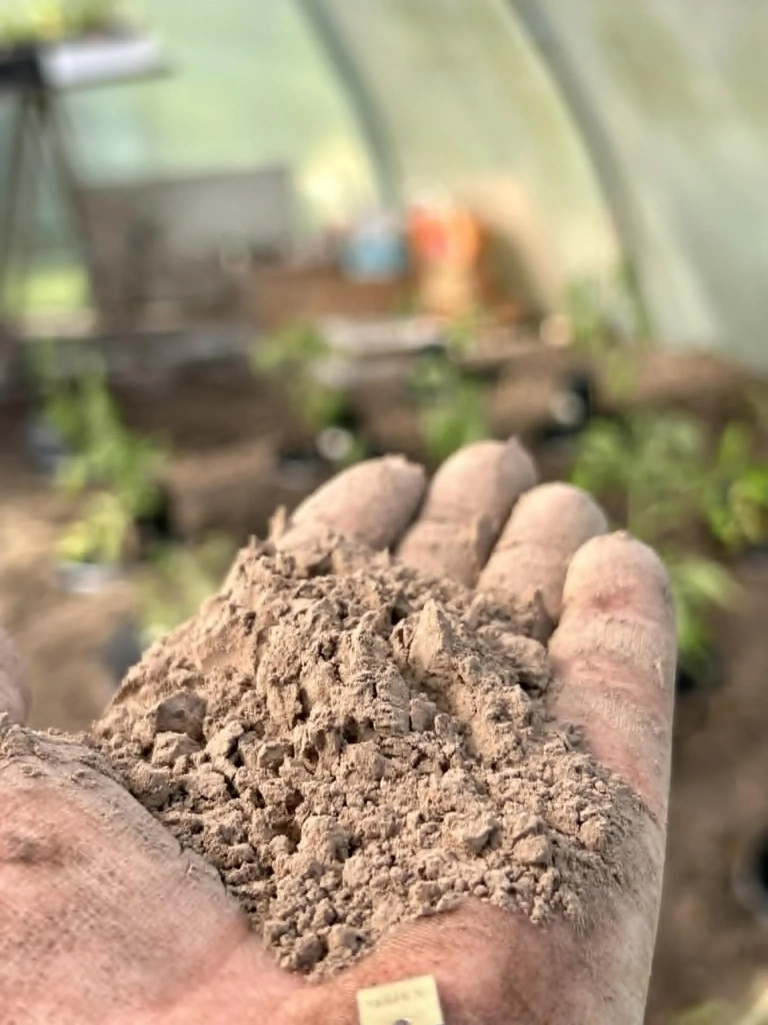 85caa599-e1a0-45a3-b52b-bcbda8f6b331 (1).jpg