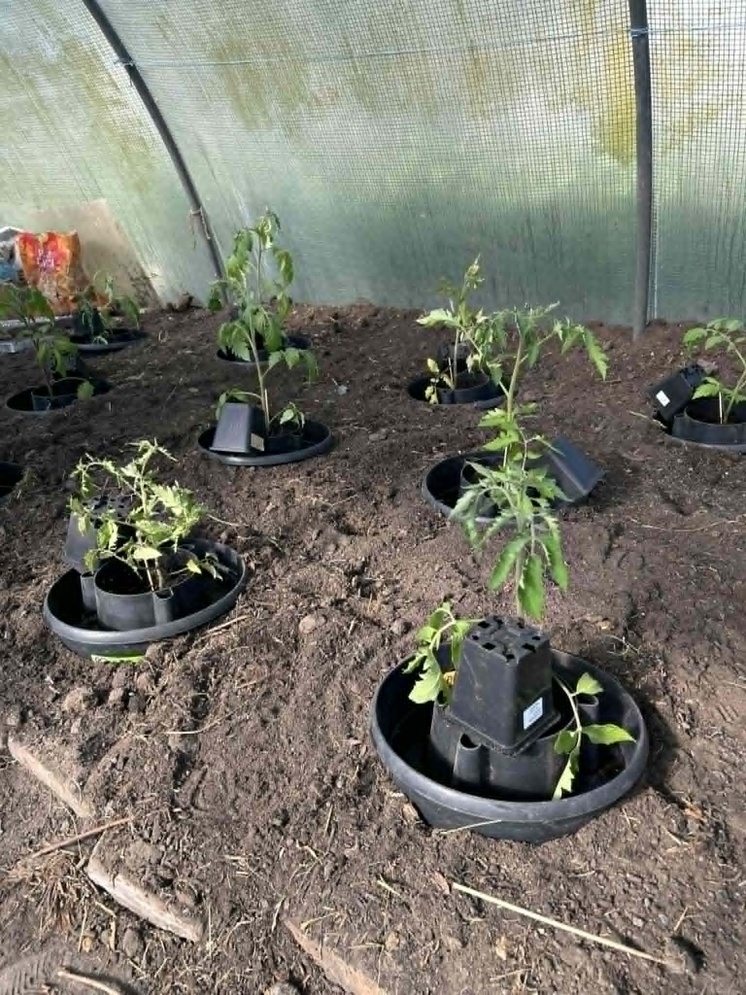 389a9d15-cb6a-42a4-b6fa-9e754bcdc321 (1).jpg