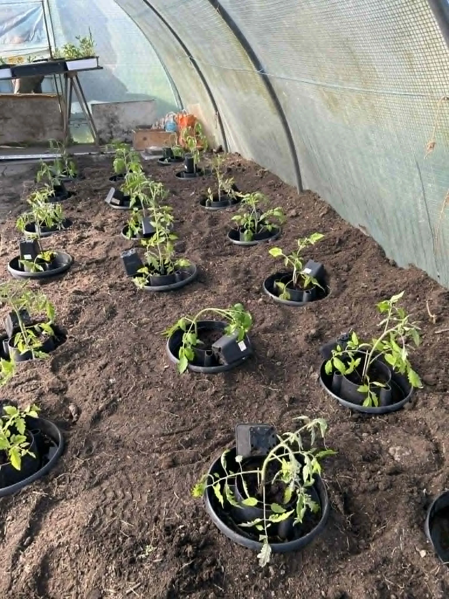 e513c0ea-0c54-45d4-9adf-52908b73fa6e (1).jpg