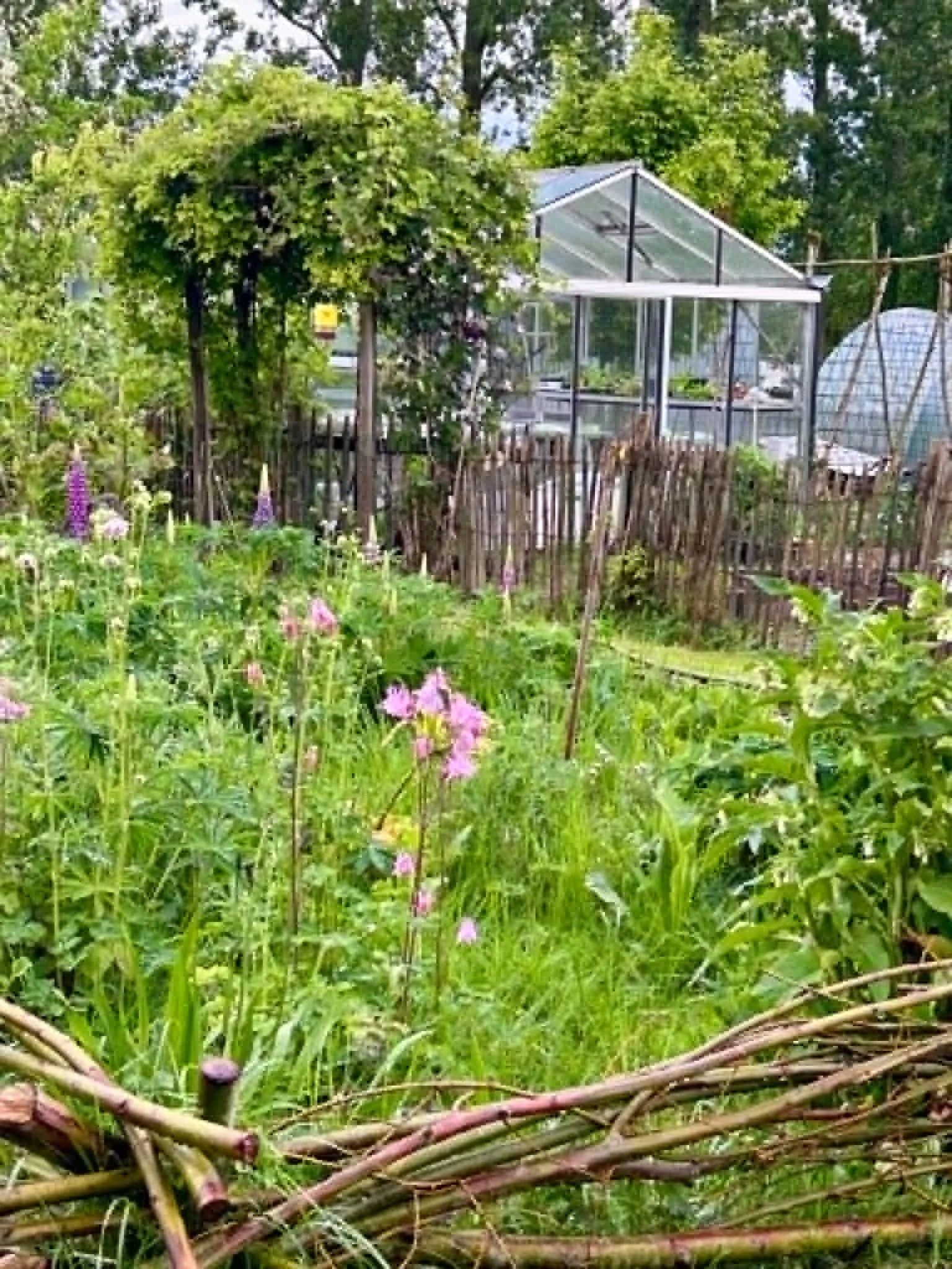 Mei…in volle moestuinseizoen!