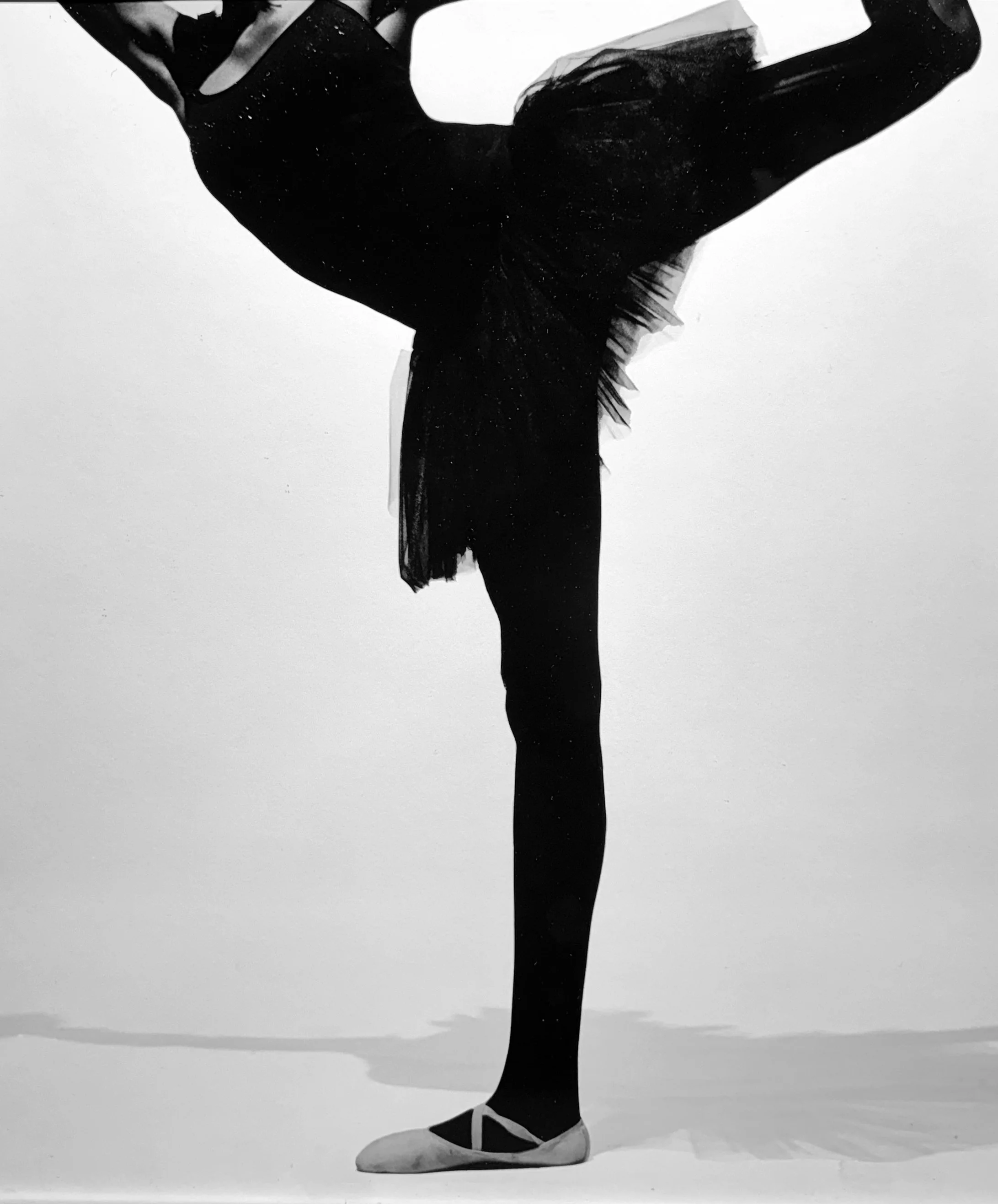 Equilibrium II, 2026.jpg