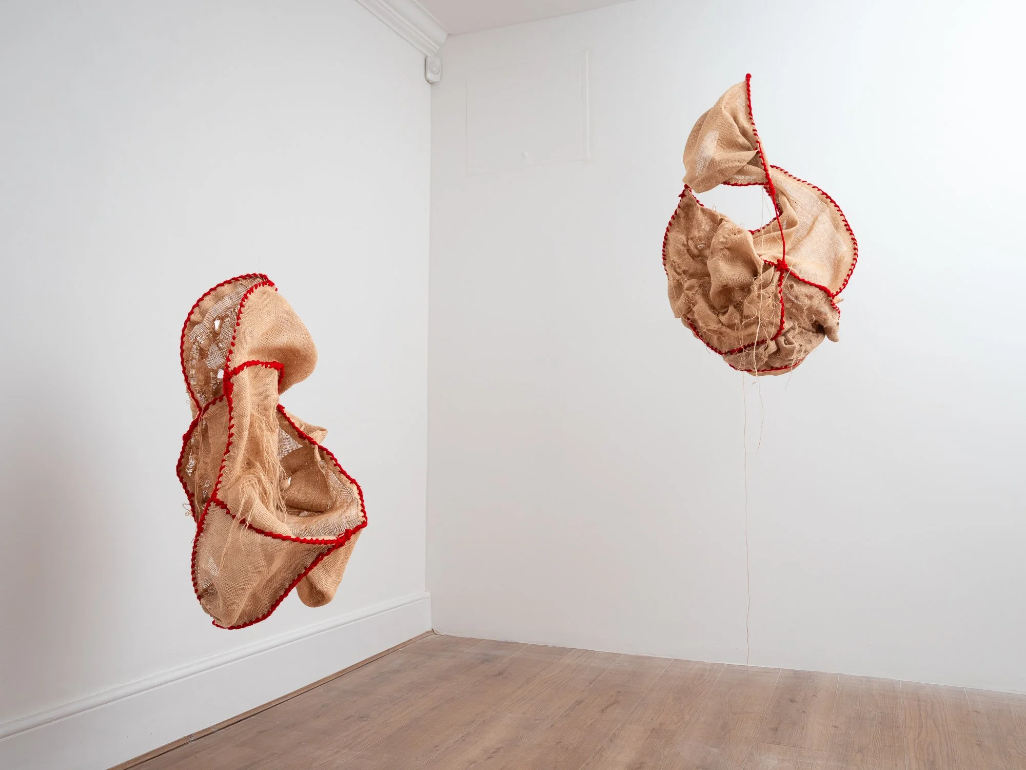 TAFETA 5 MAR 2025-4.jpg