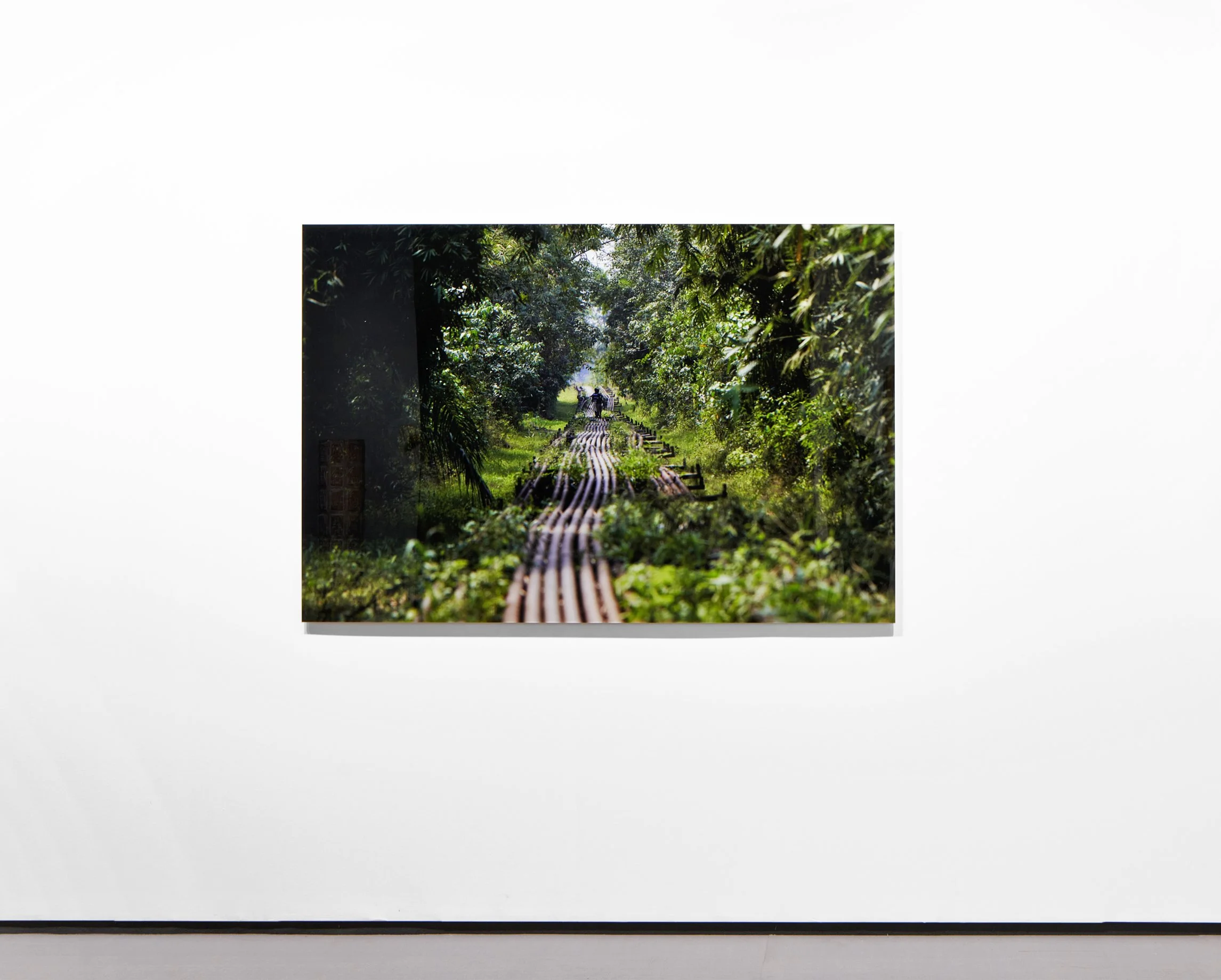 23_GRAYSC_Tafeta 1.jpg